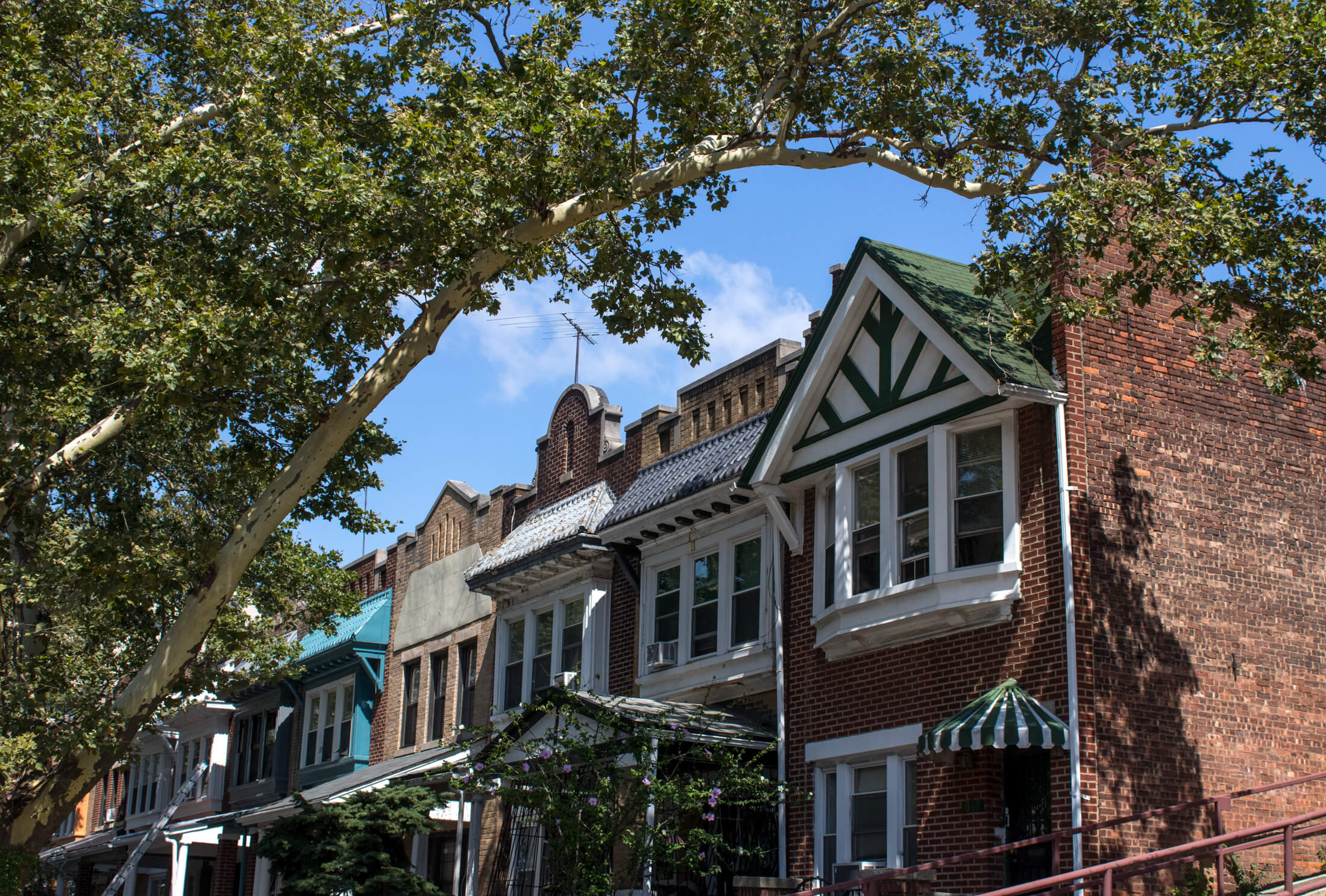 houses in crown heights