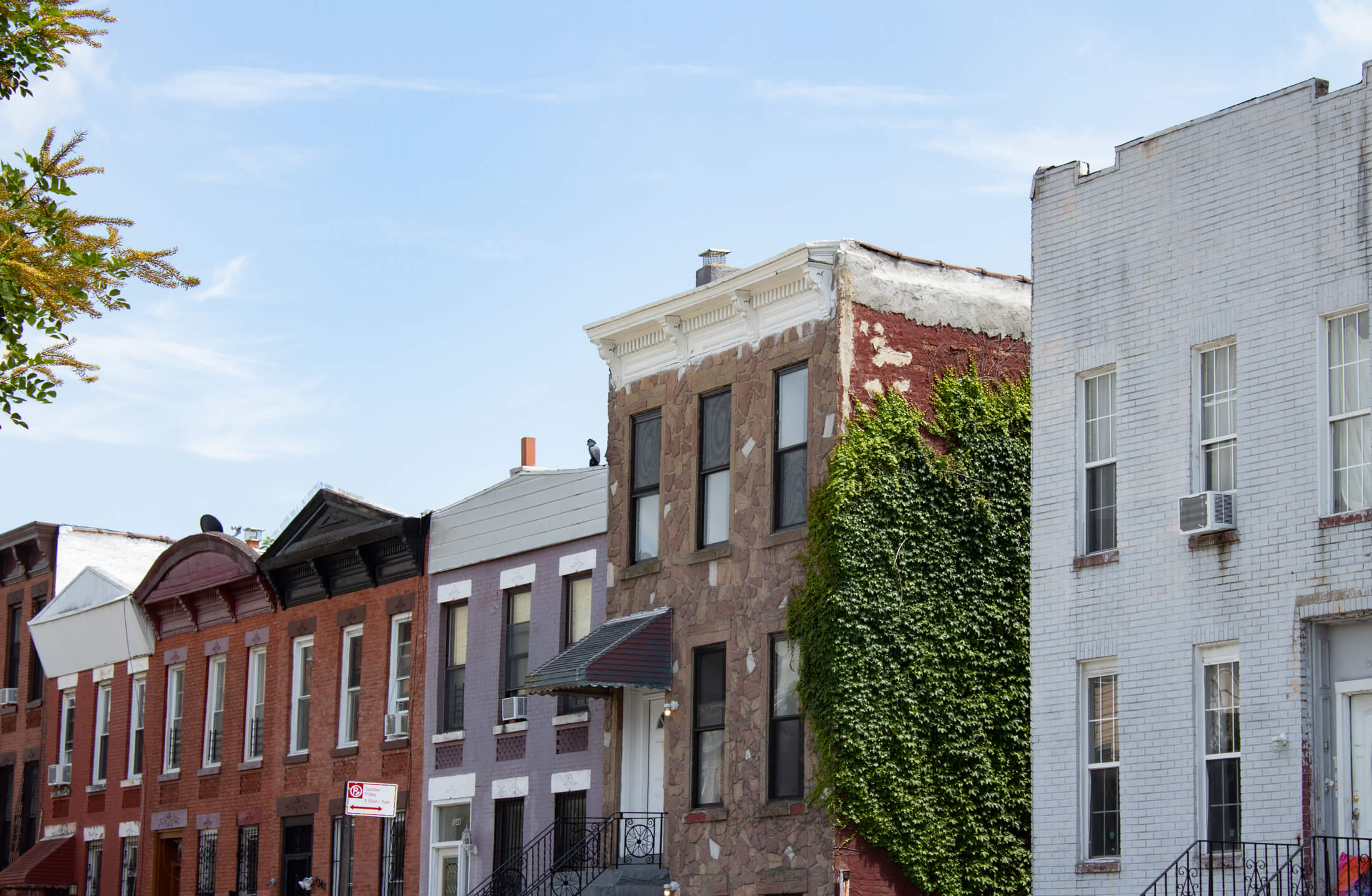 a street in crown heights