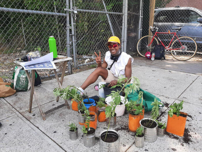 Planting native plants and herbs