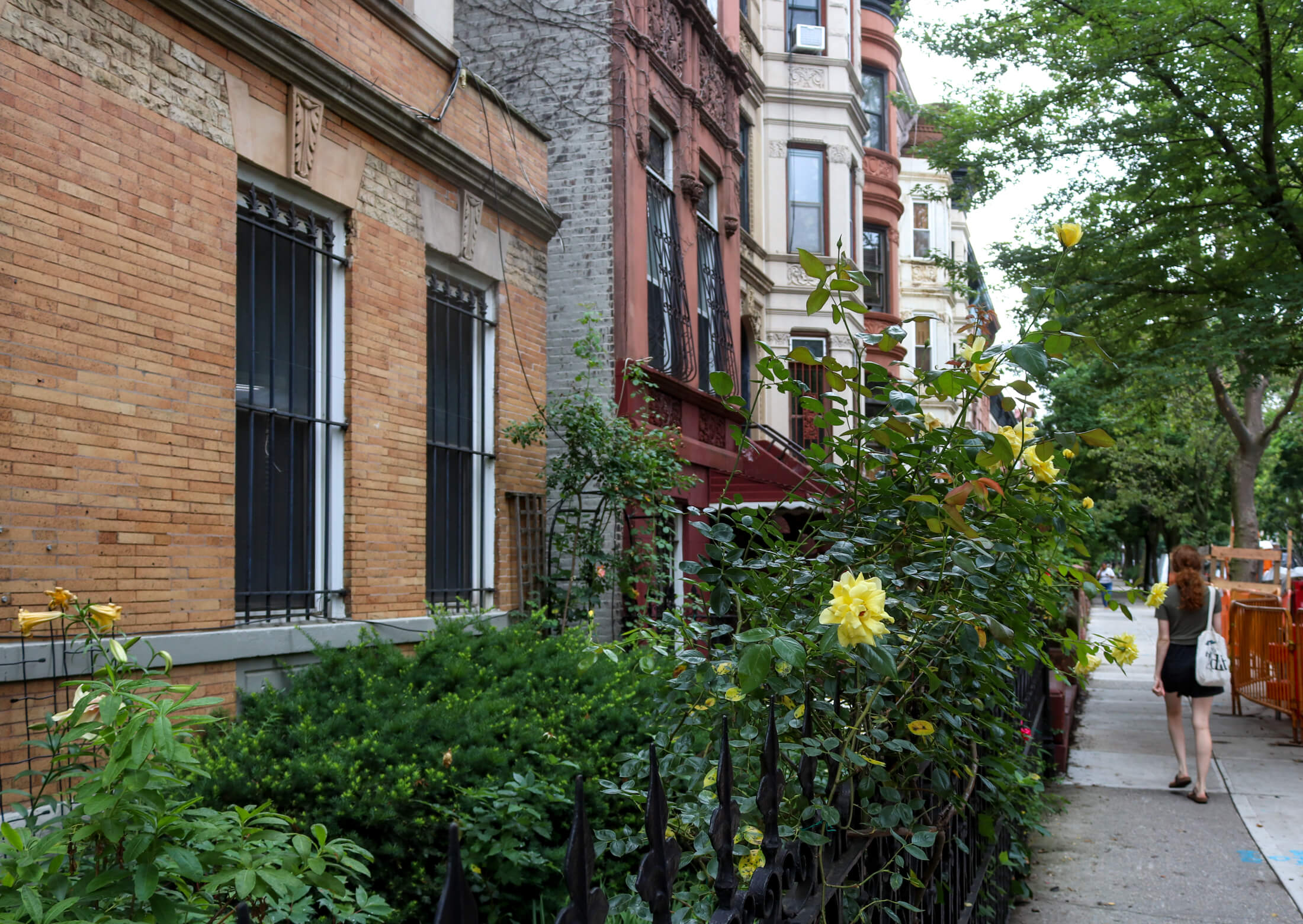 flowers in prospect heights