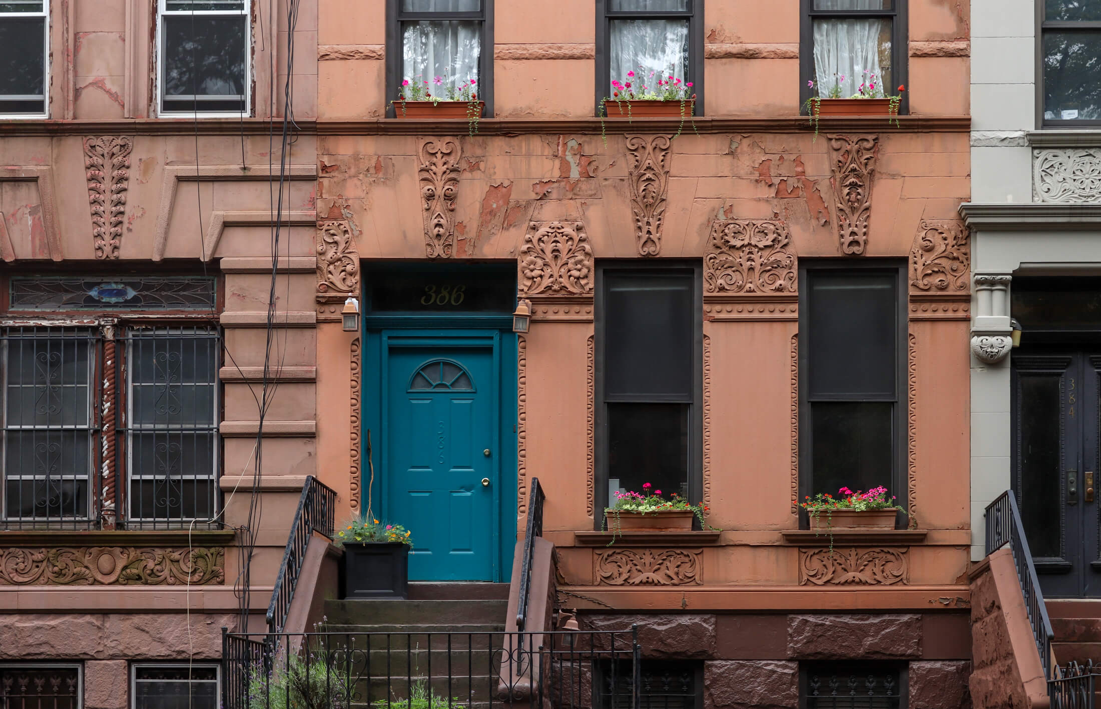 stoop in prospect heights