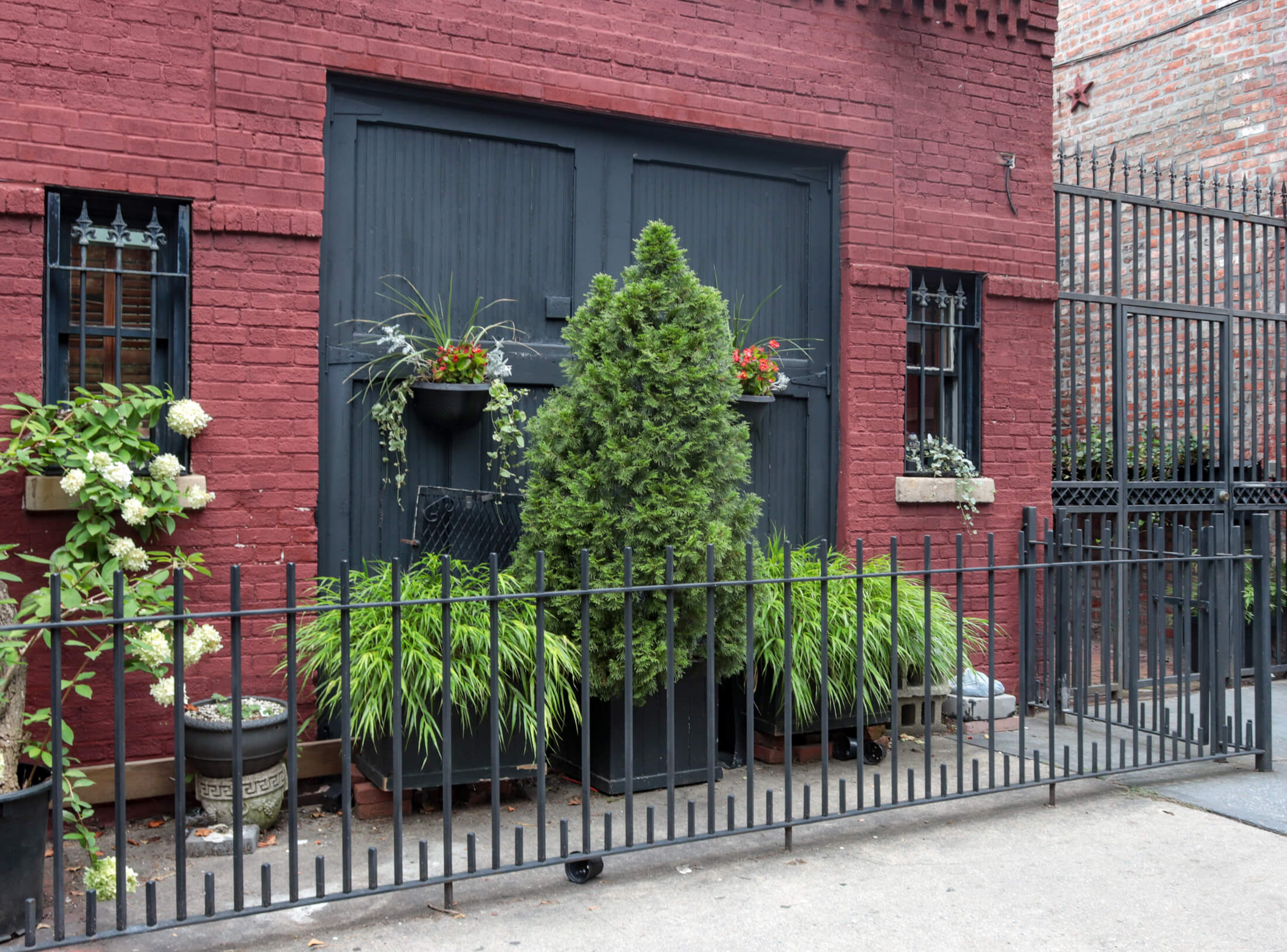 plants in boerum hill