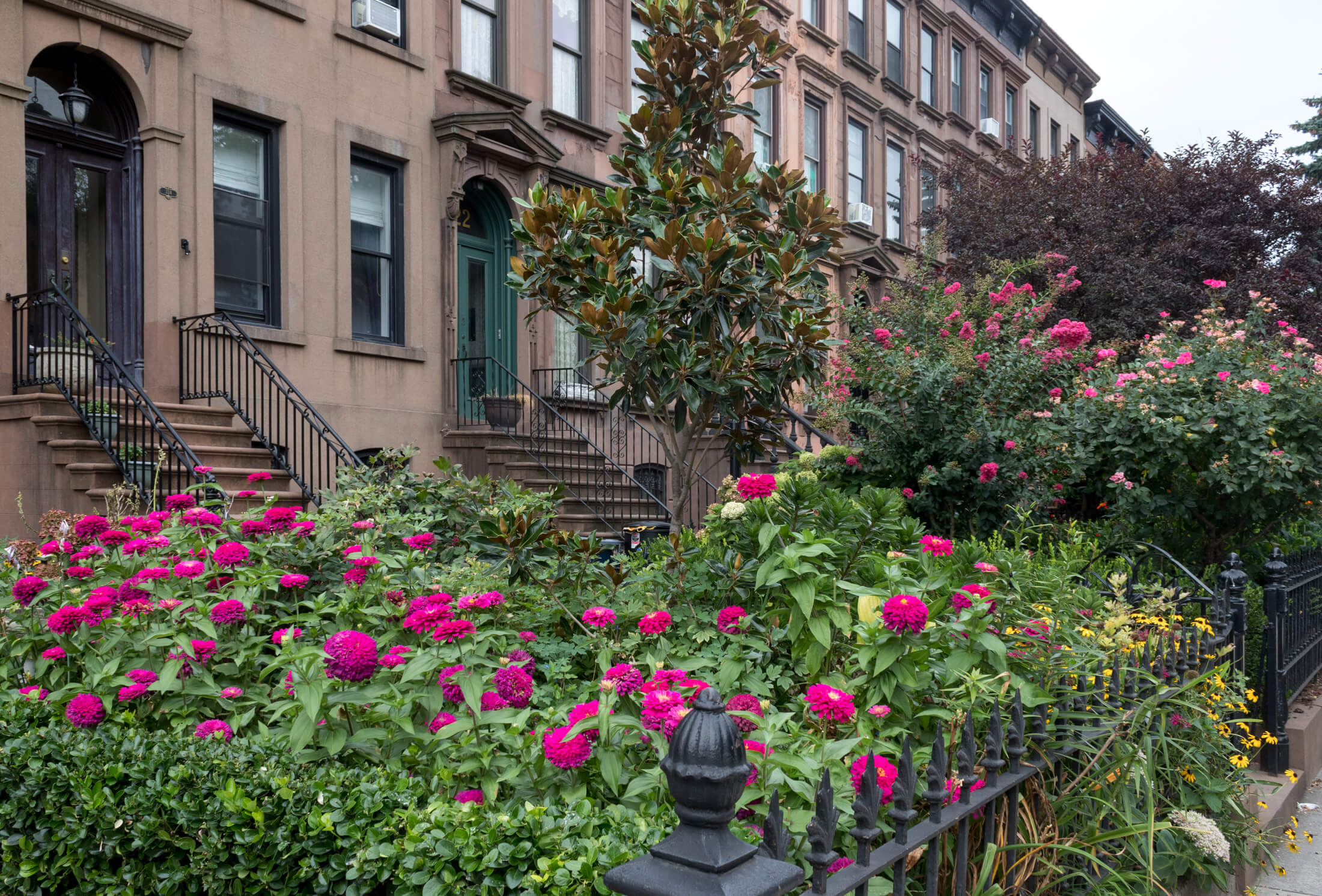 flowers in carroll gardens