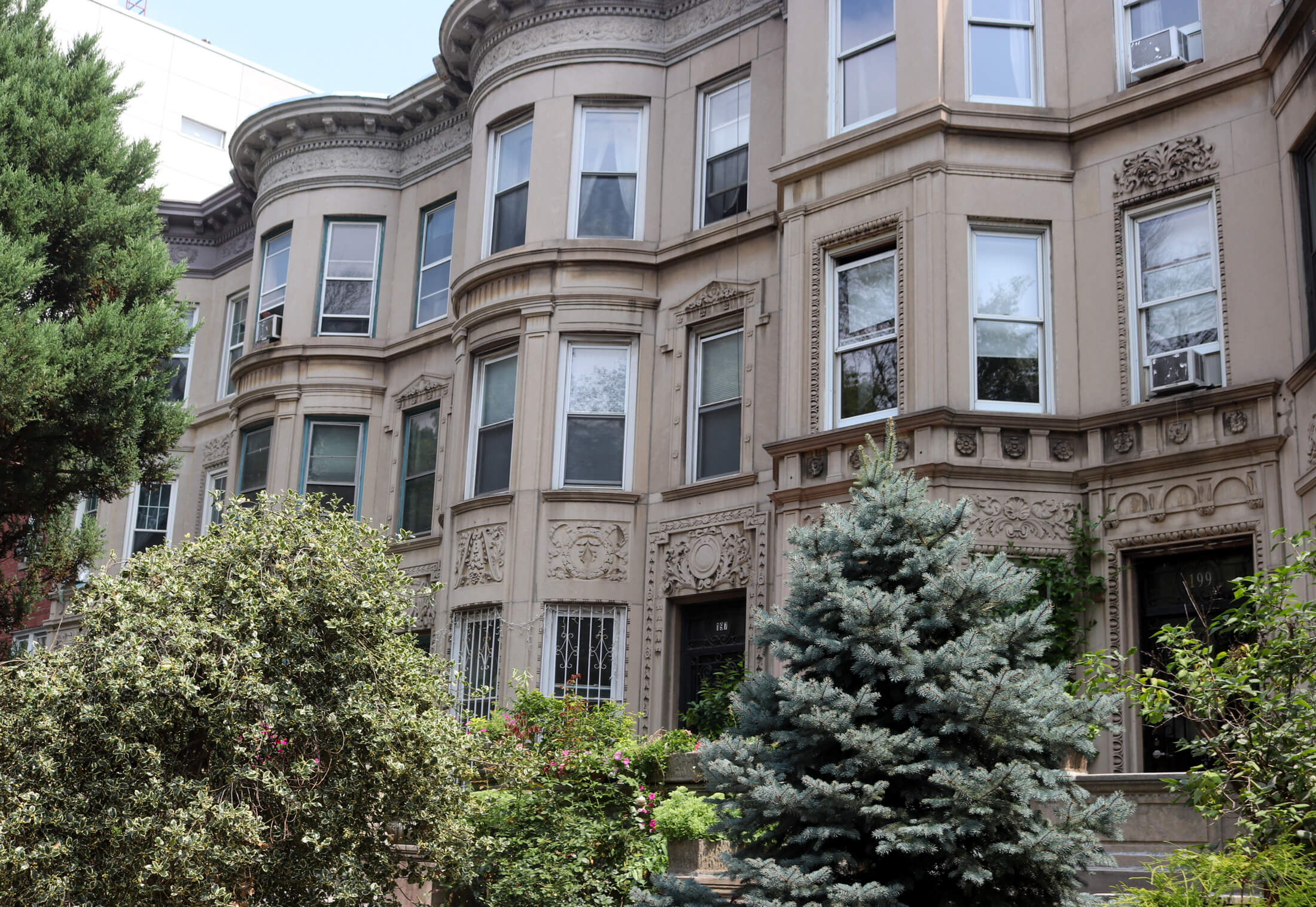 houses in flatbush