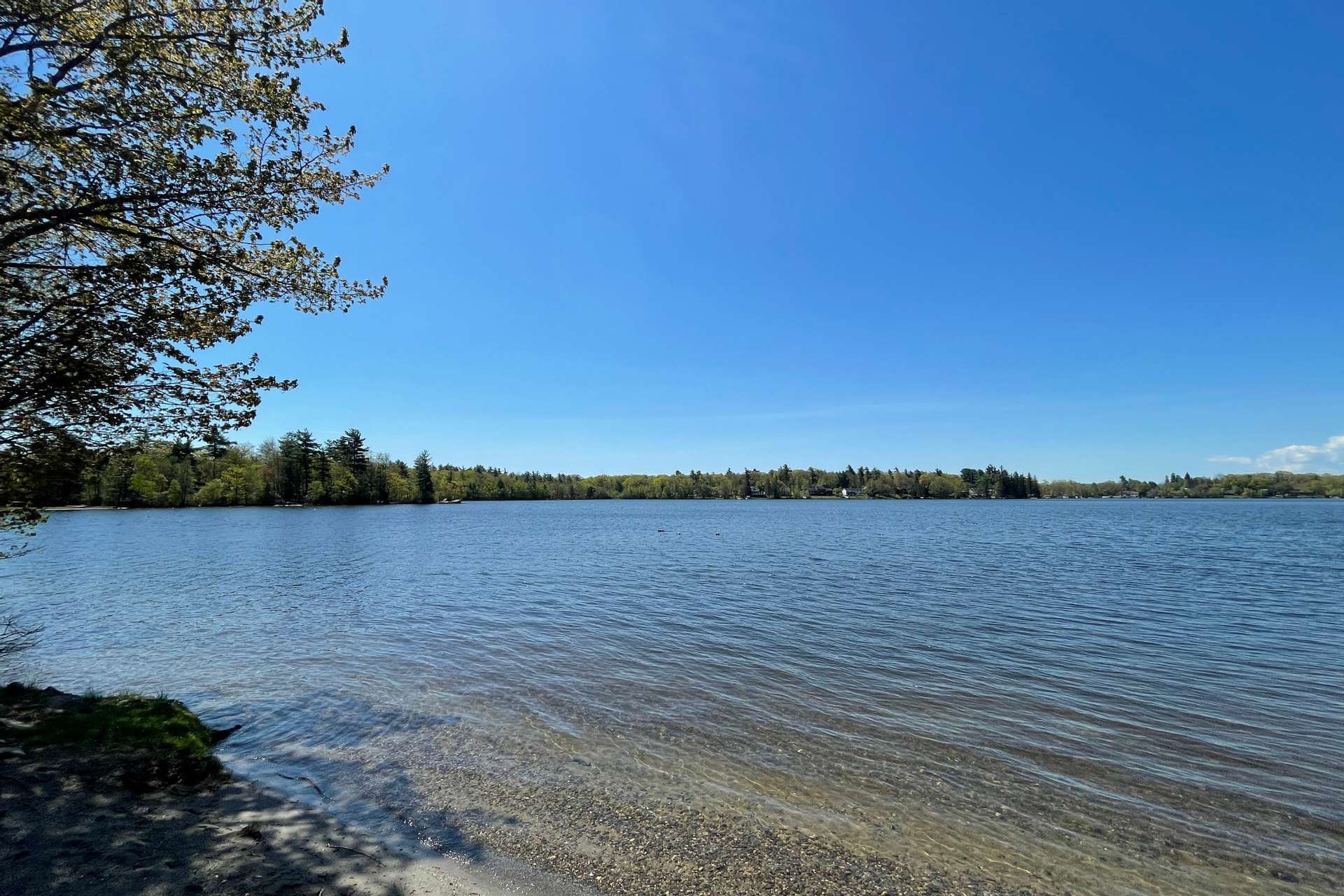 lake near 173 park road wurtsboro