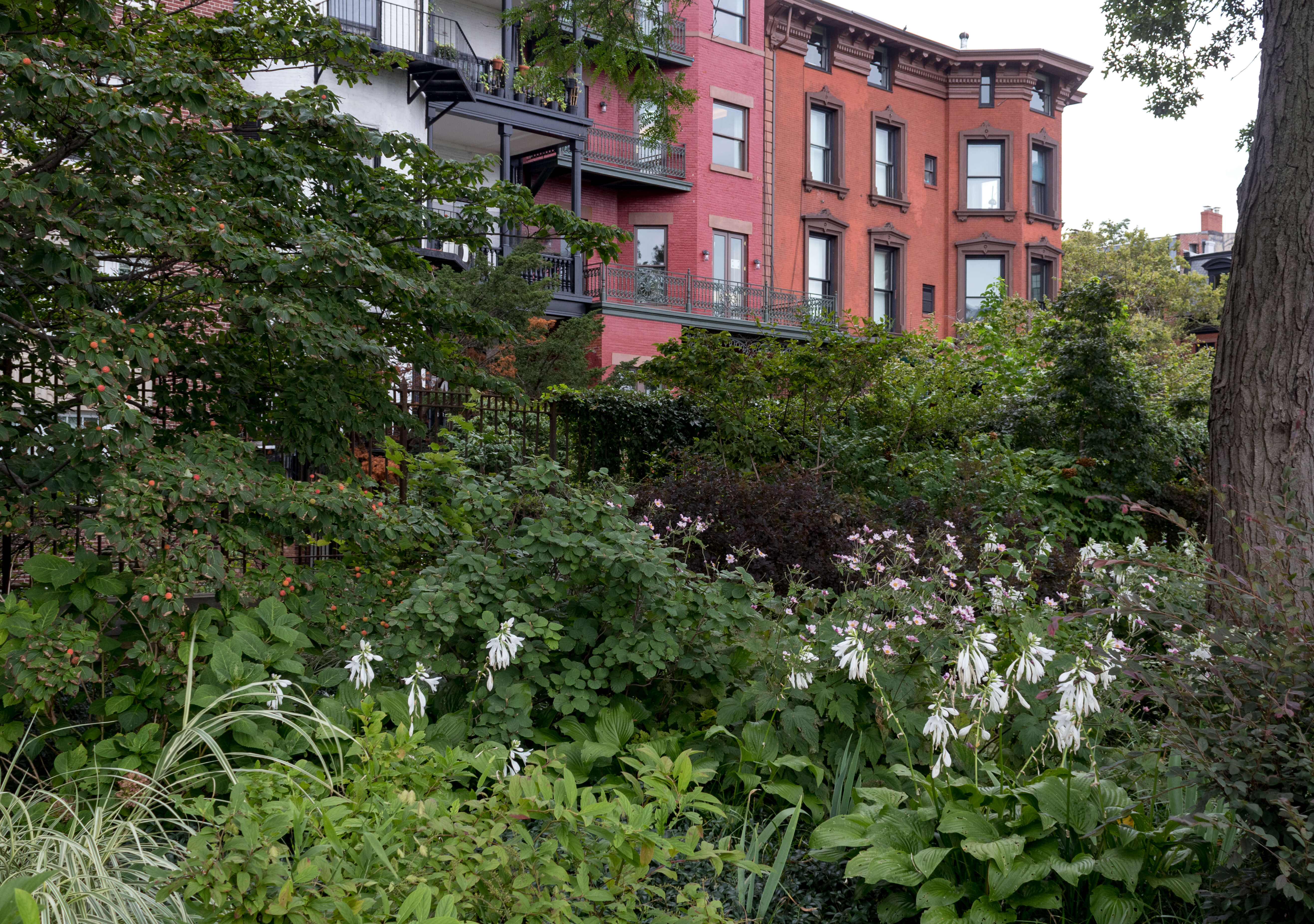 brooklyn heights promenade