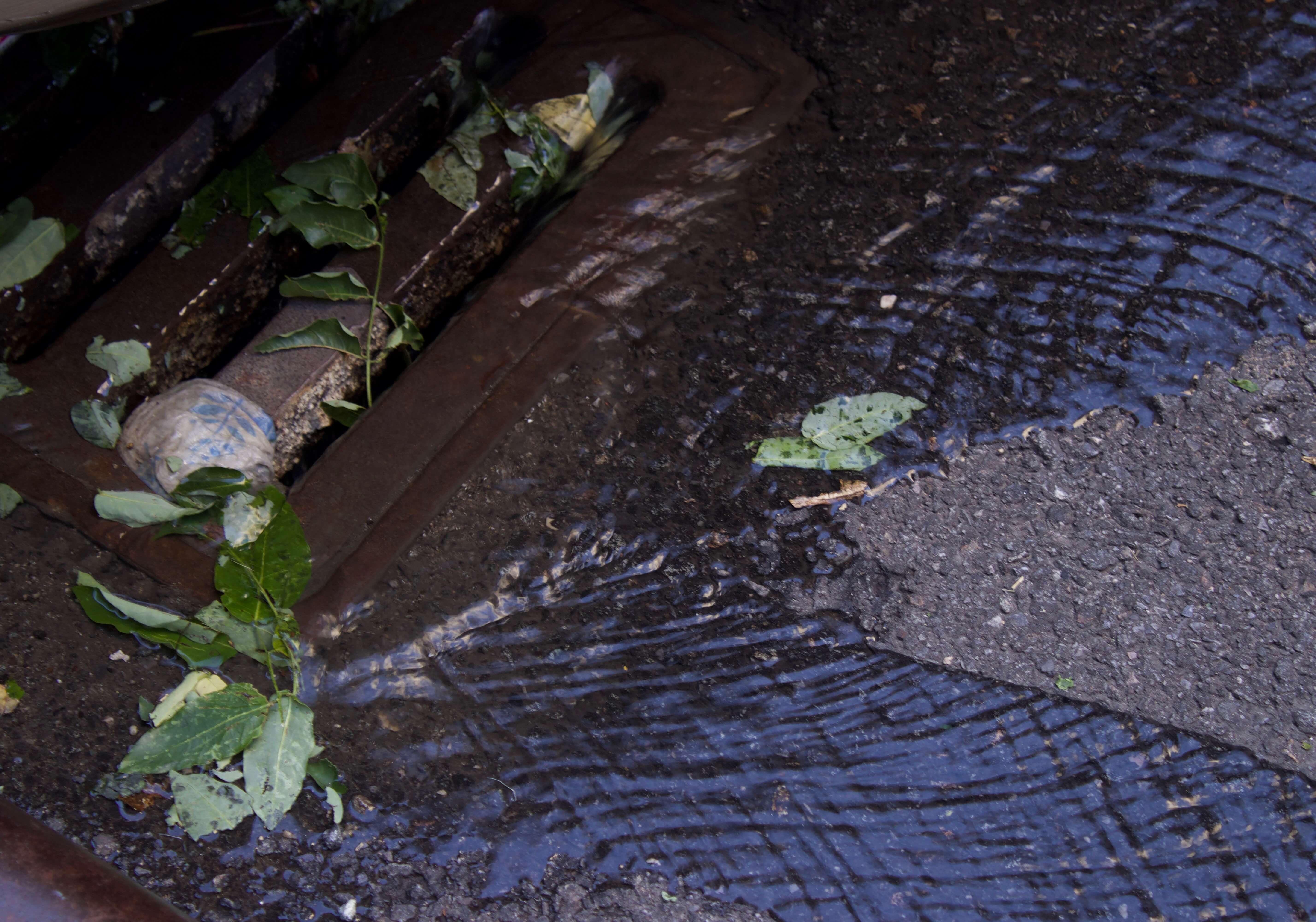 downtown brooklyn drain