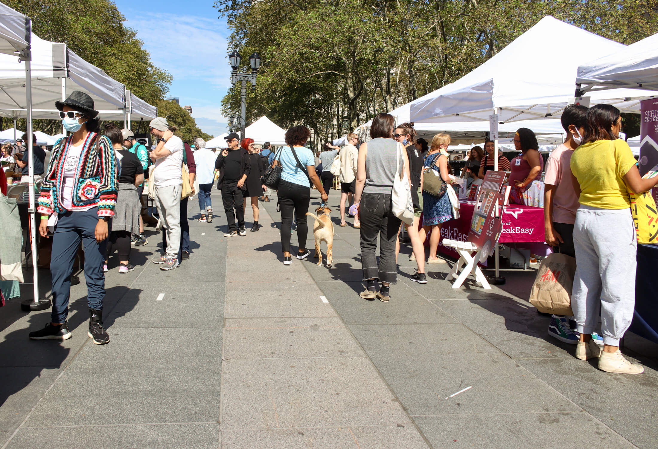 brooklyn book festival