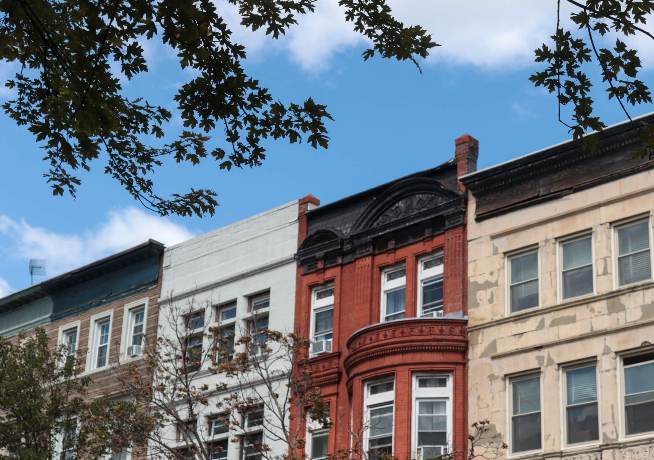 crown heights houses