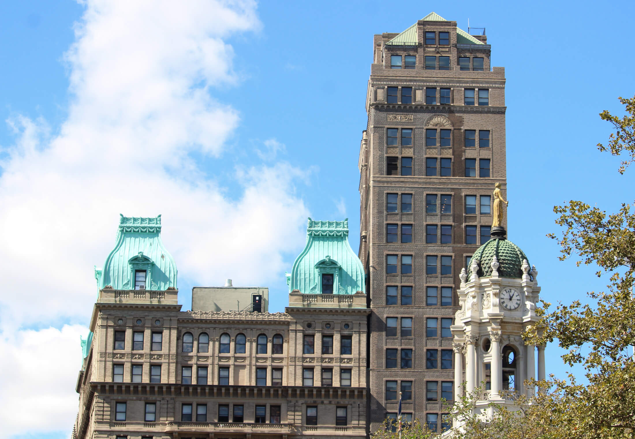 the downtown brooklyn skyline