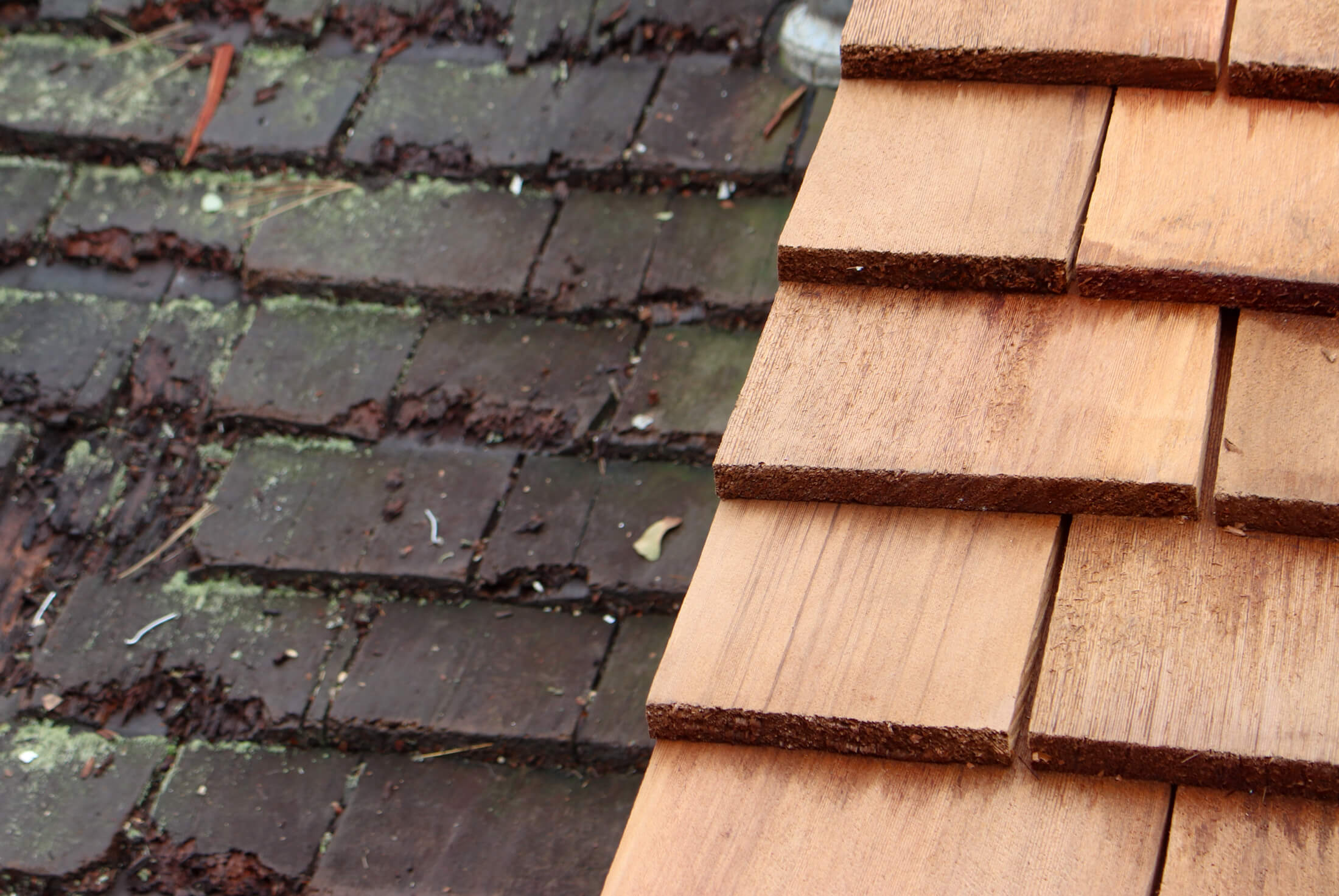 lefferts historic house roof