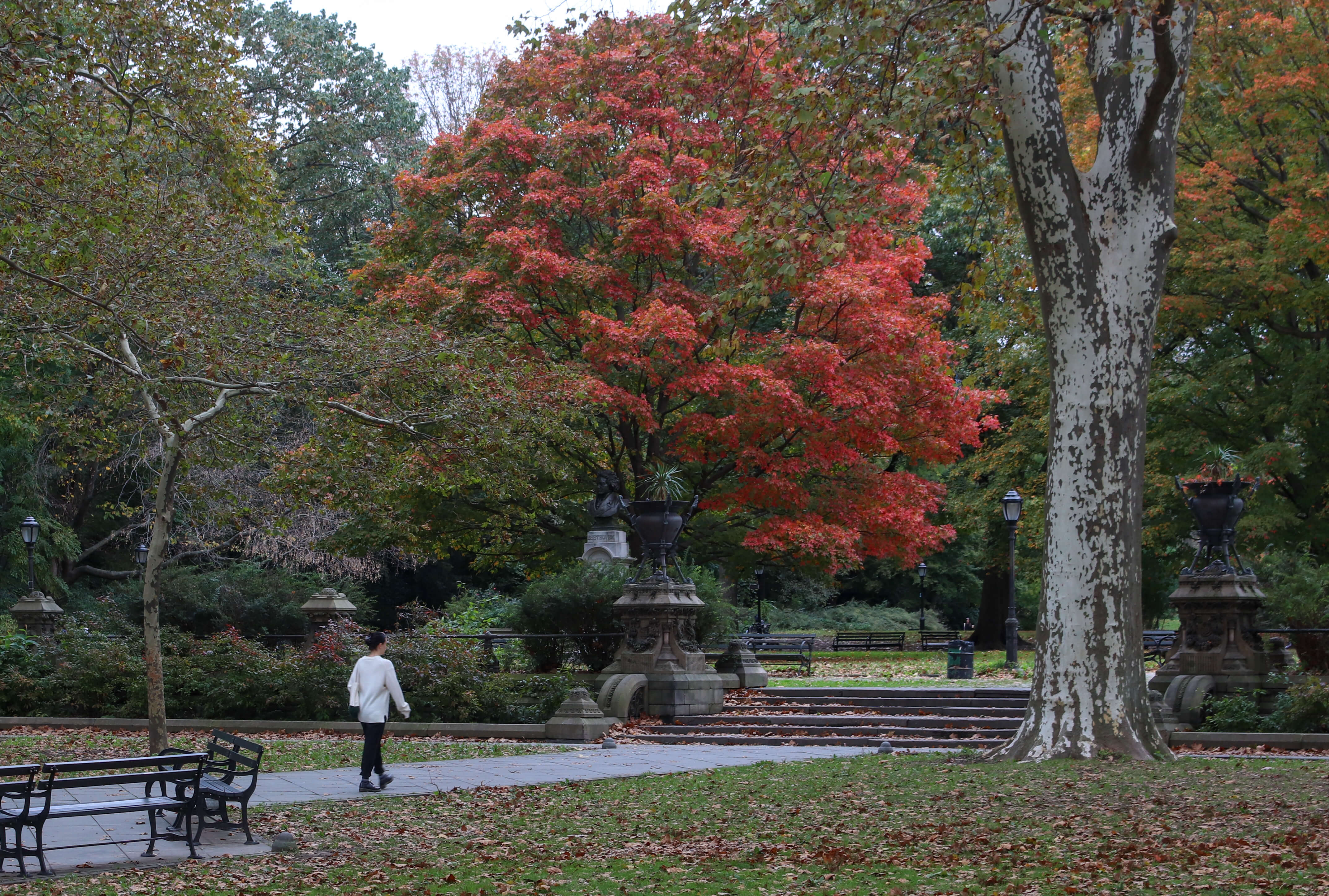 fall in prospect park