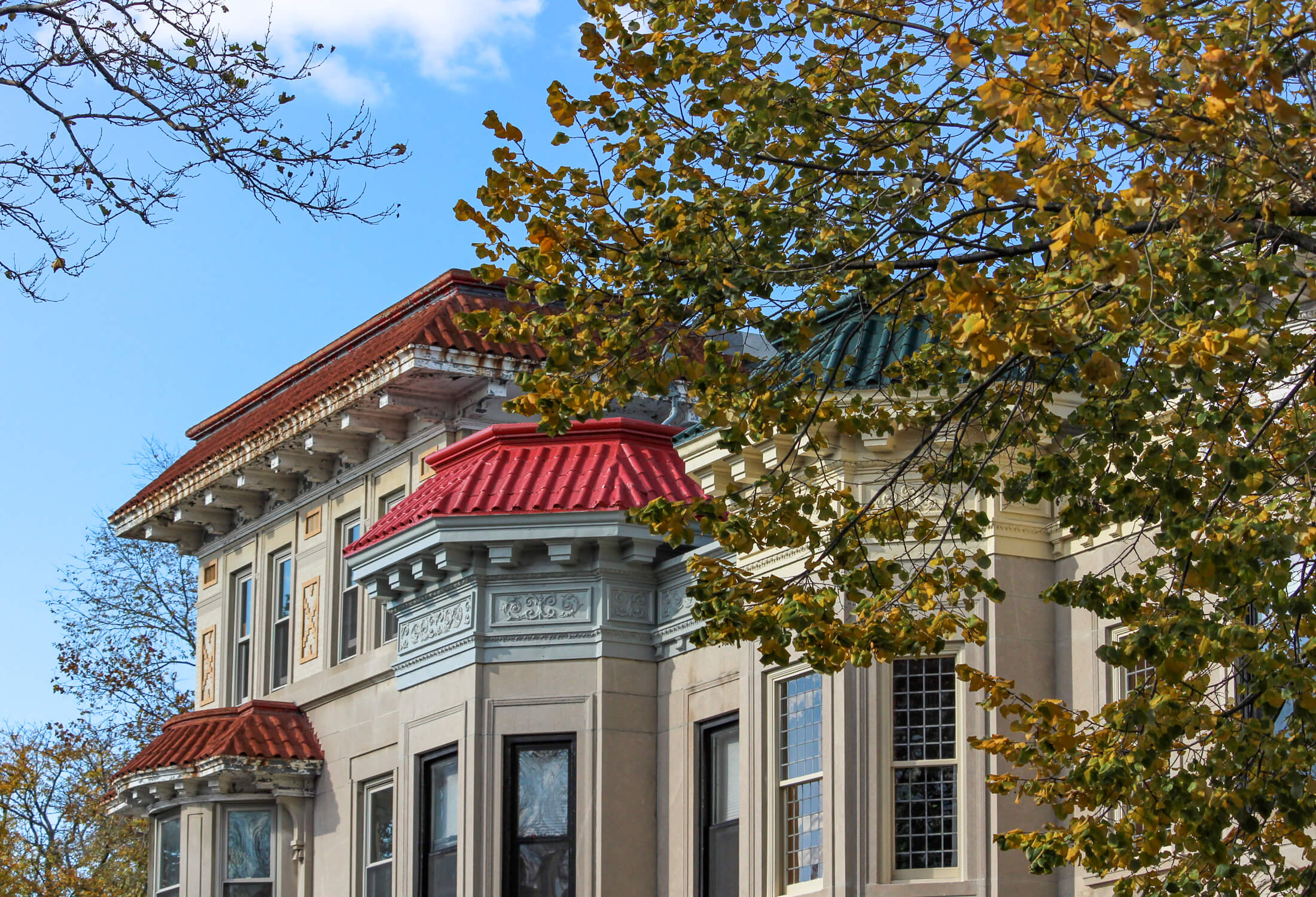 fall in prospect lefferts gardens