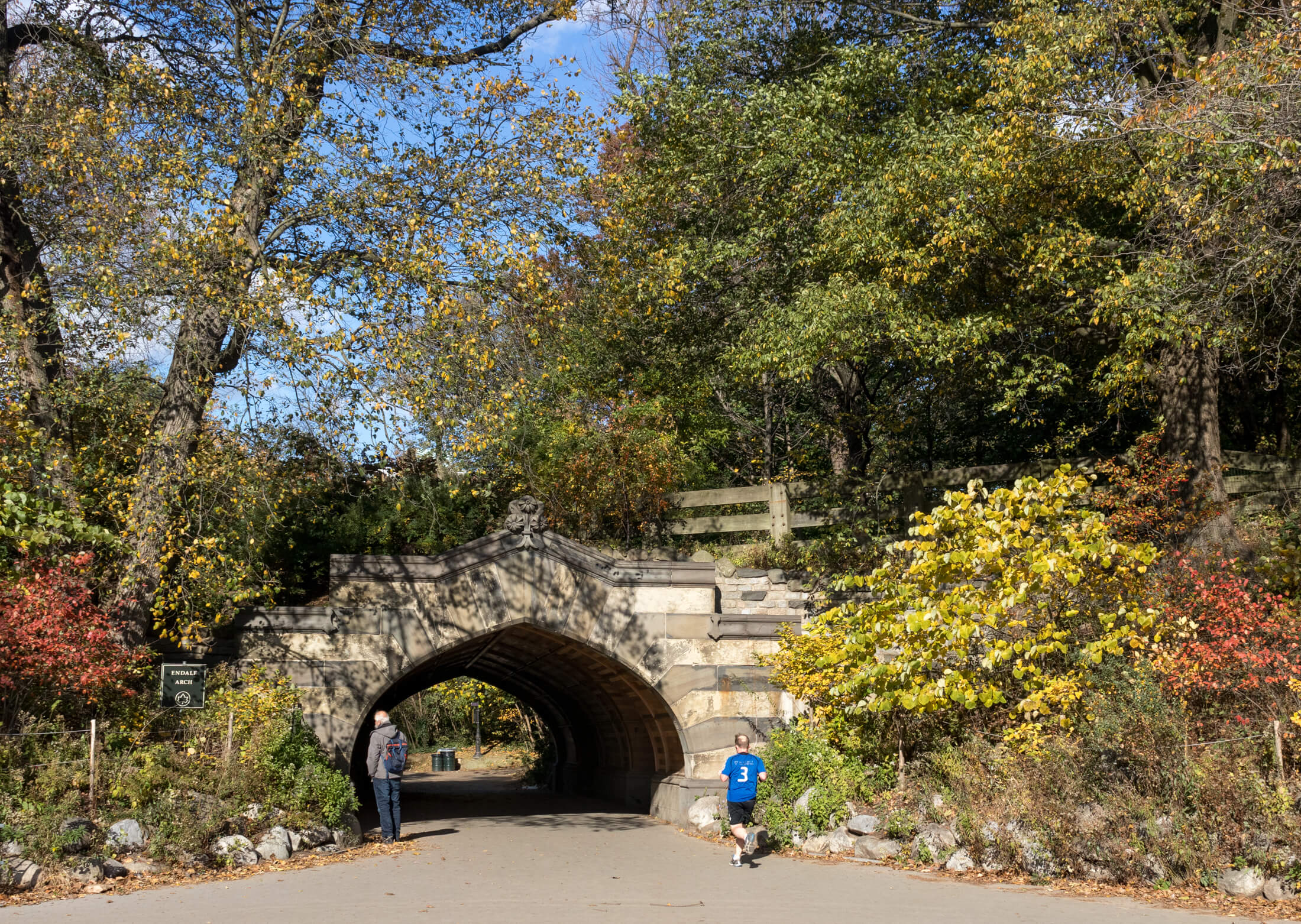 fall in prospect park