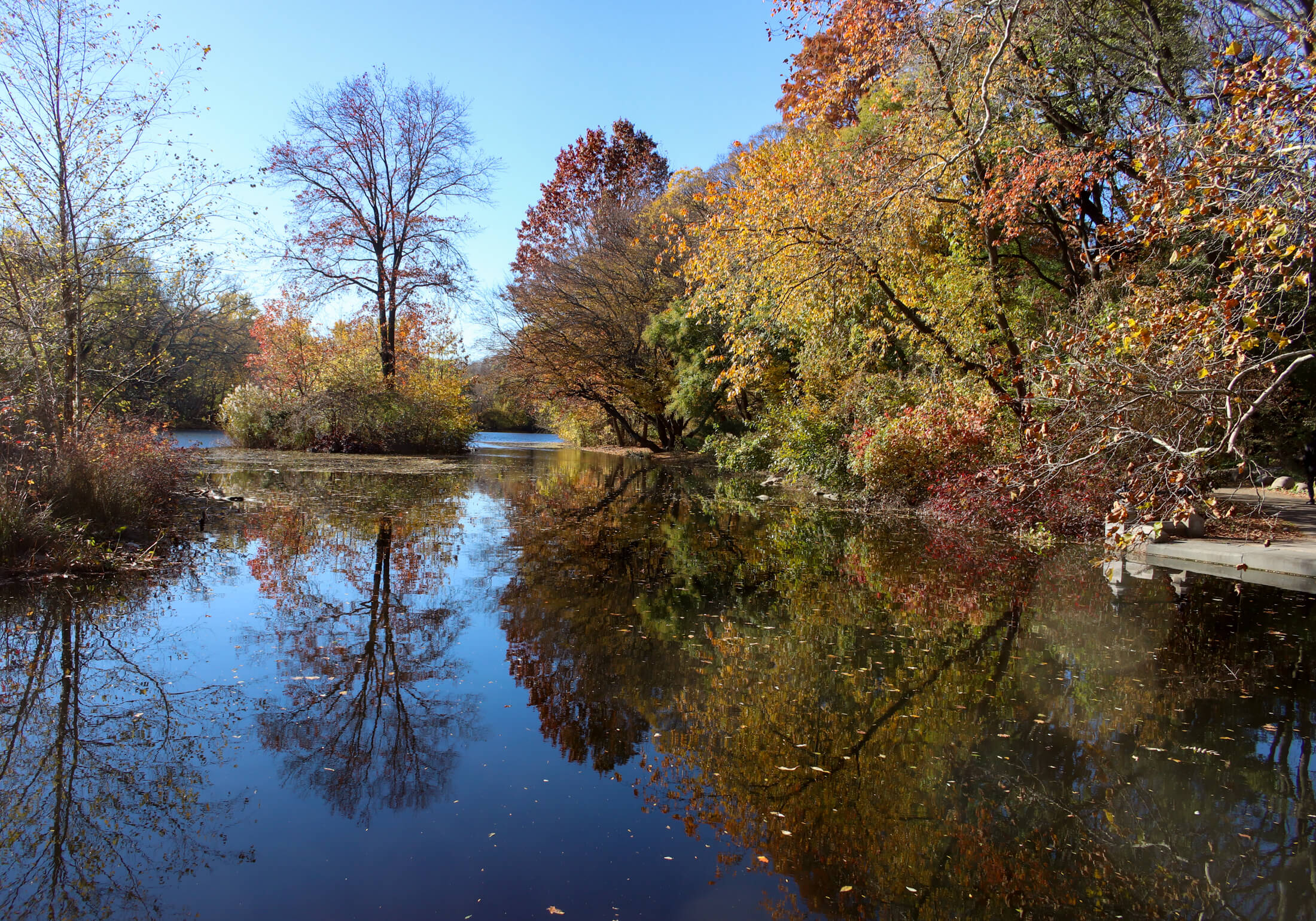 prospect park water