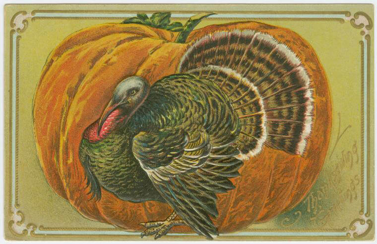 turkey postcard