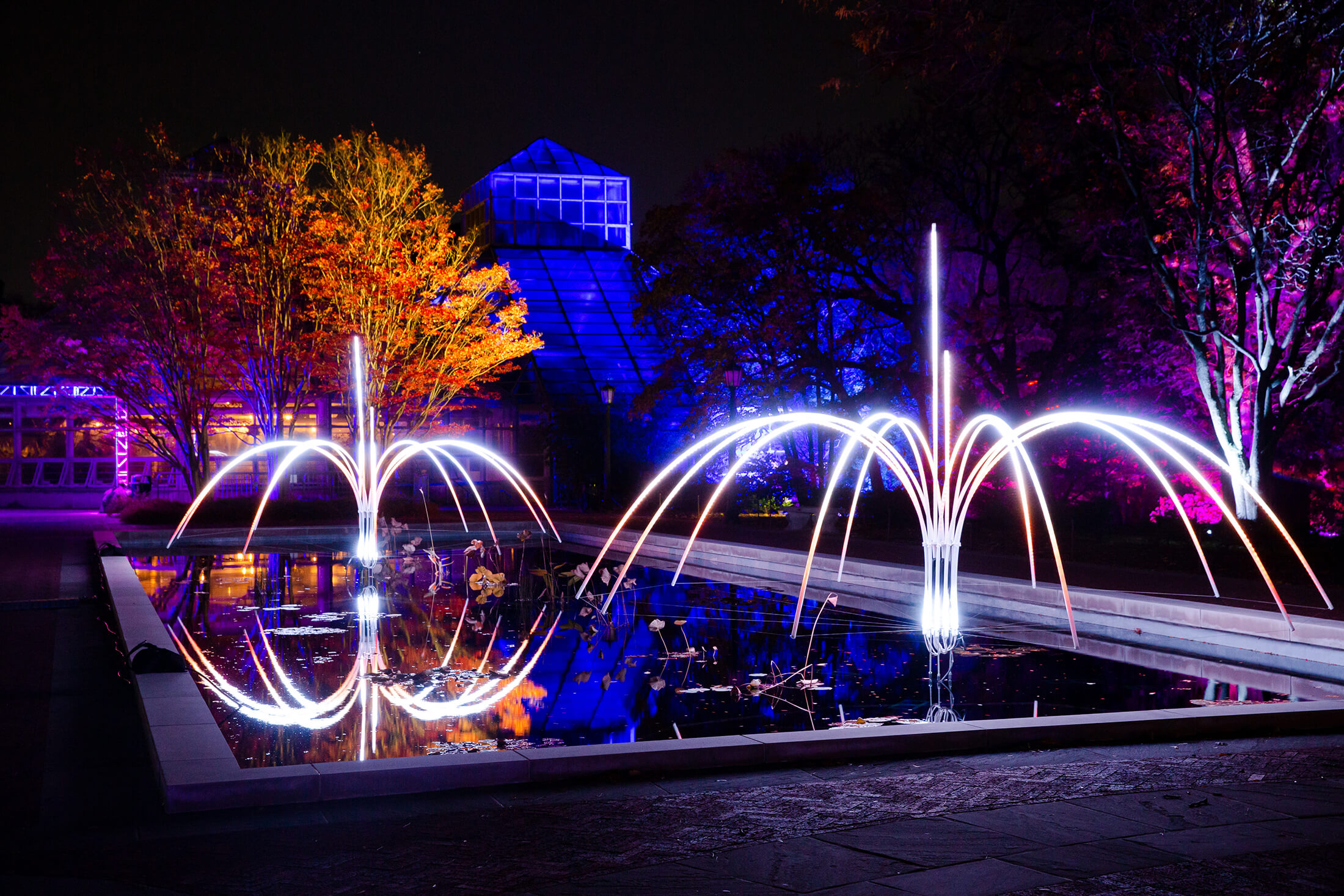 lights at brooklyn botanic garden