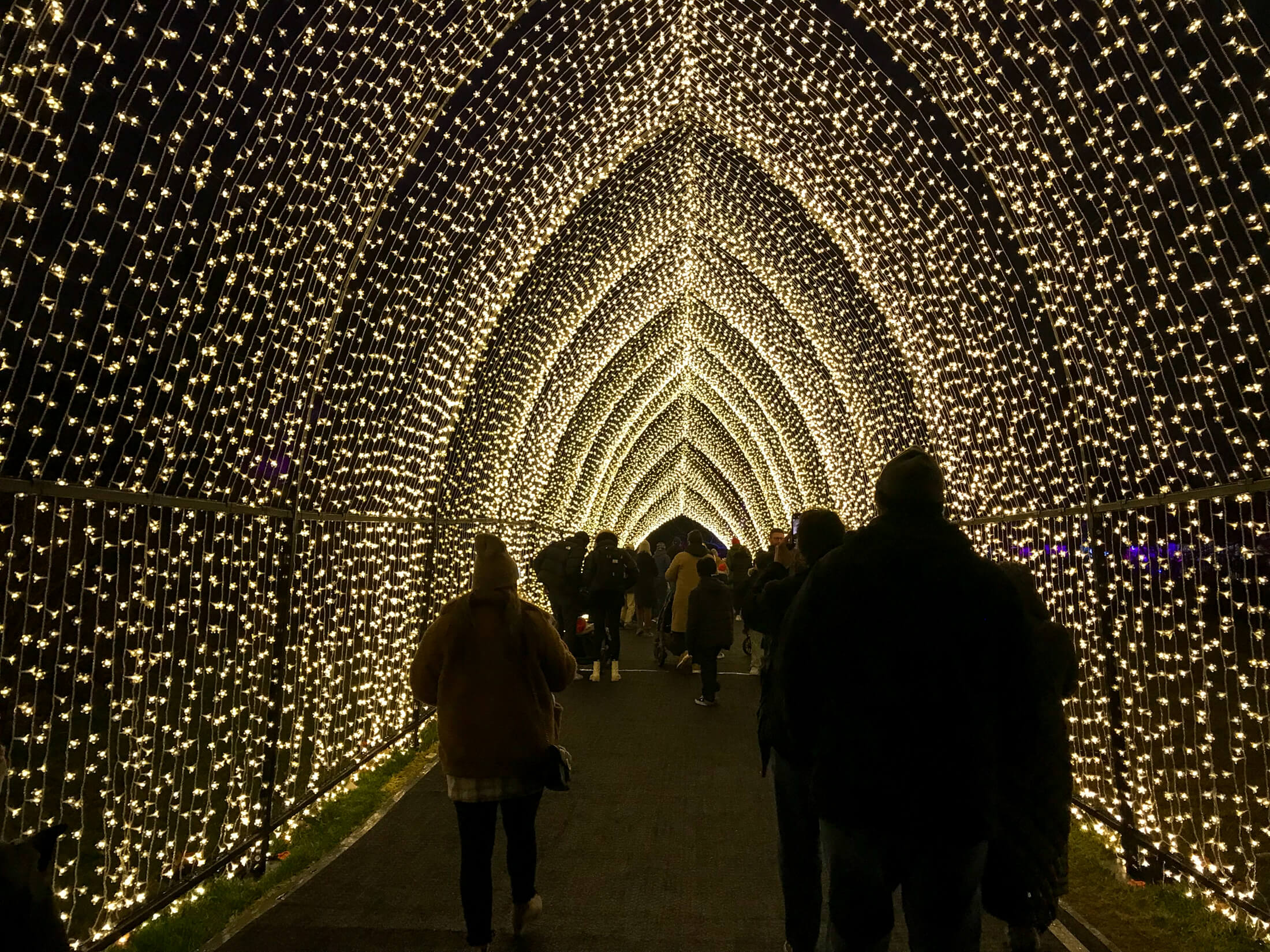 brooklyn botanic garden lightscape