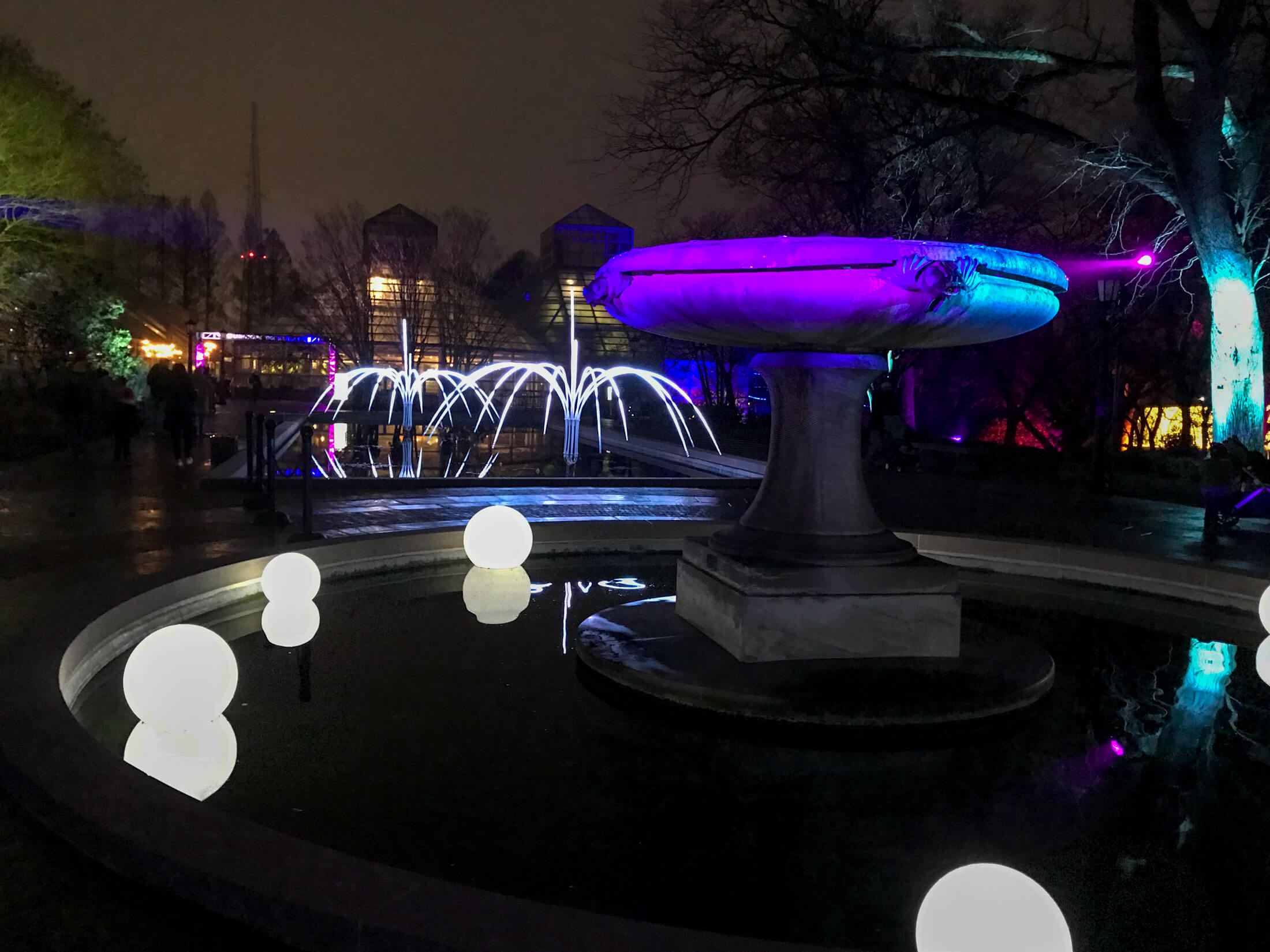 brooklyn botanic garden lightscape