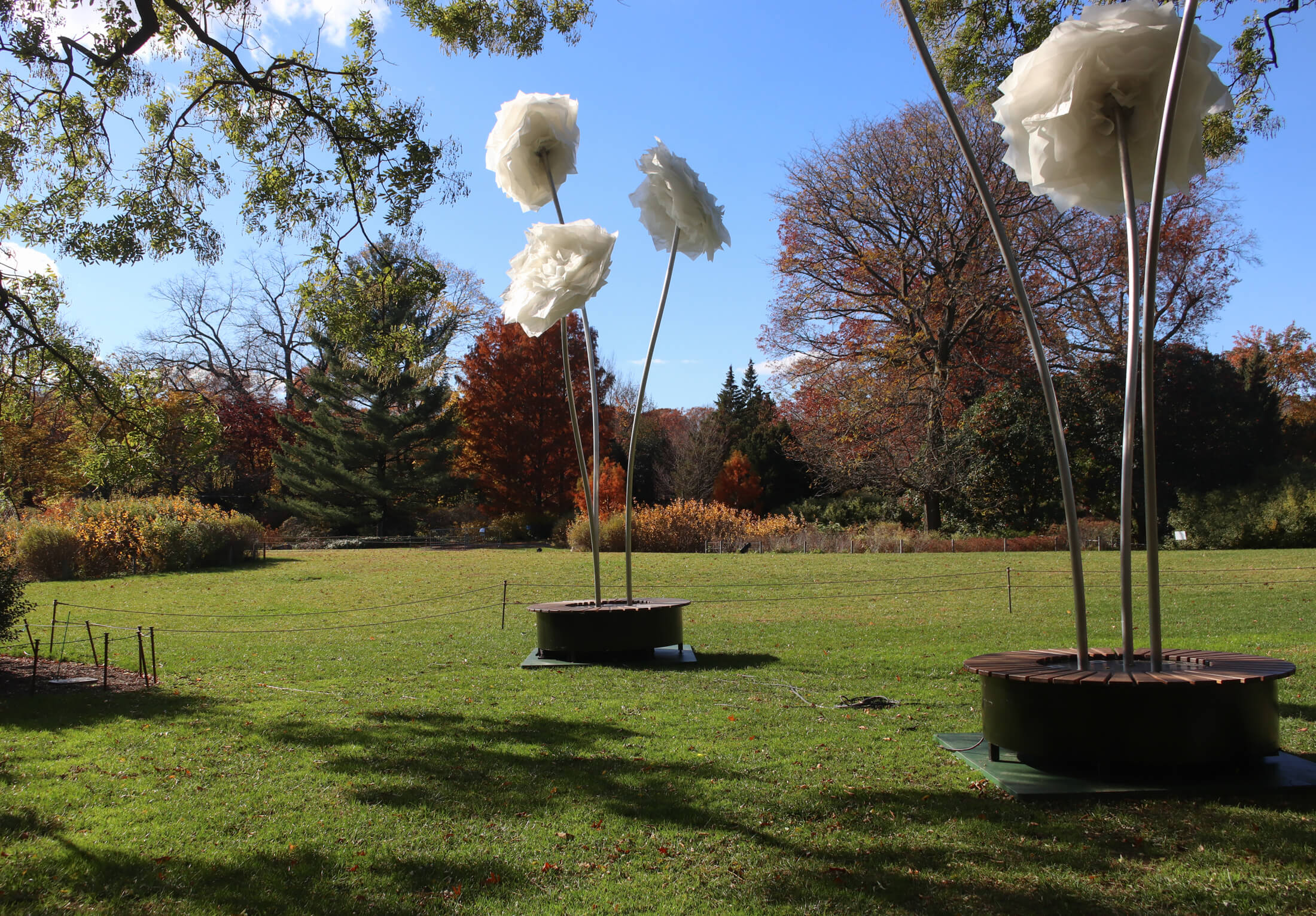 brooklyn botanic garden lightscape during the day