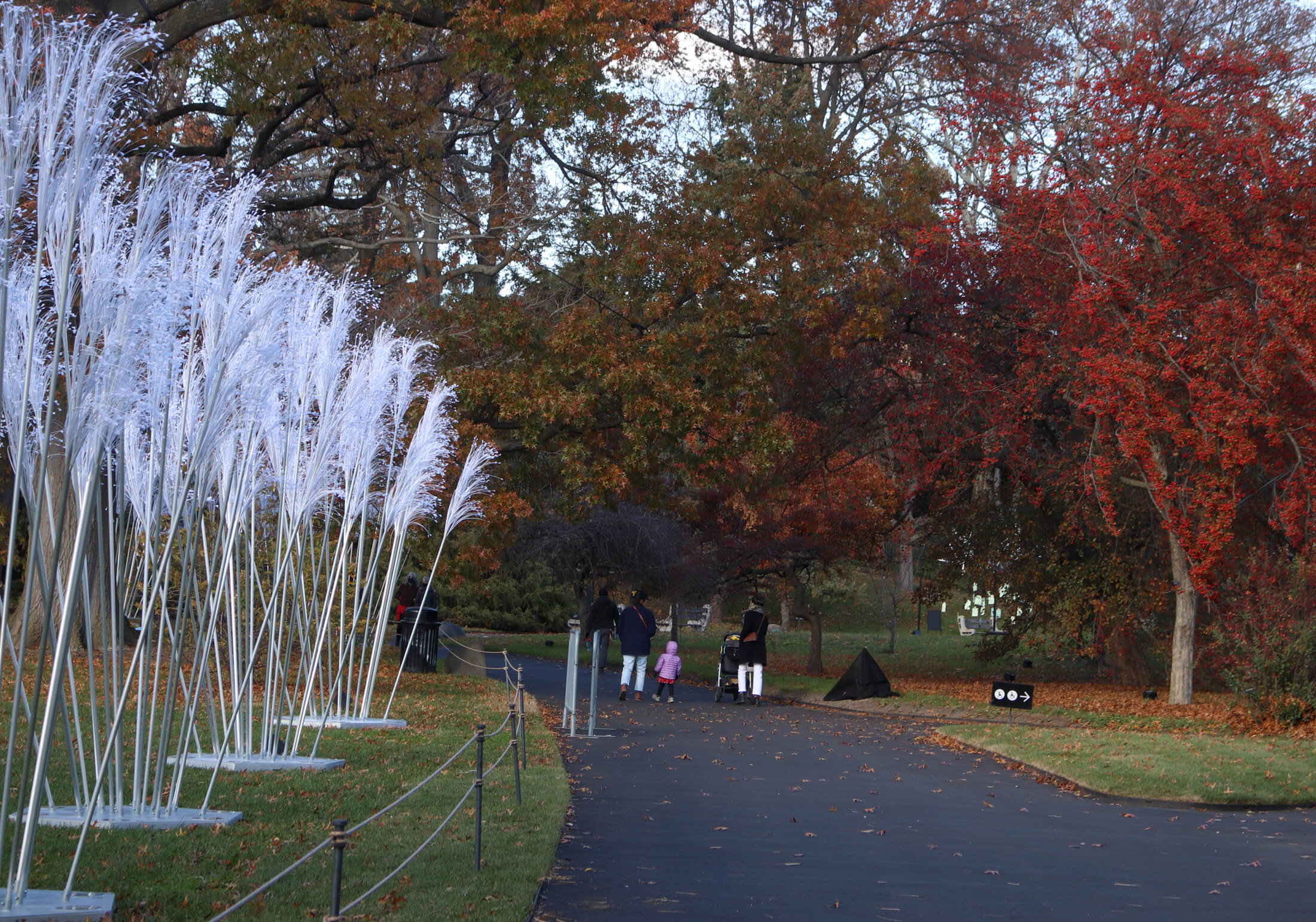 brooklyn botanic garden lightscape during the day