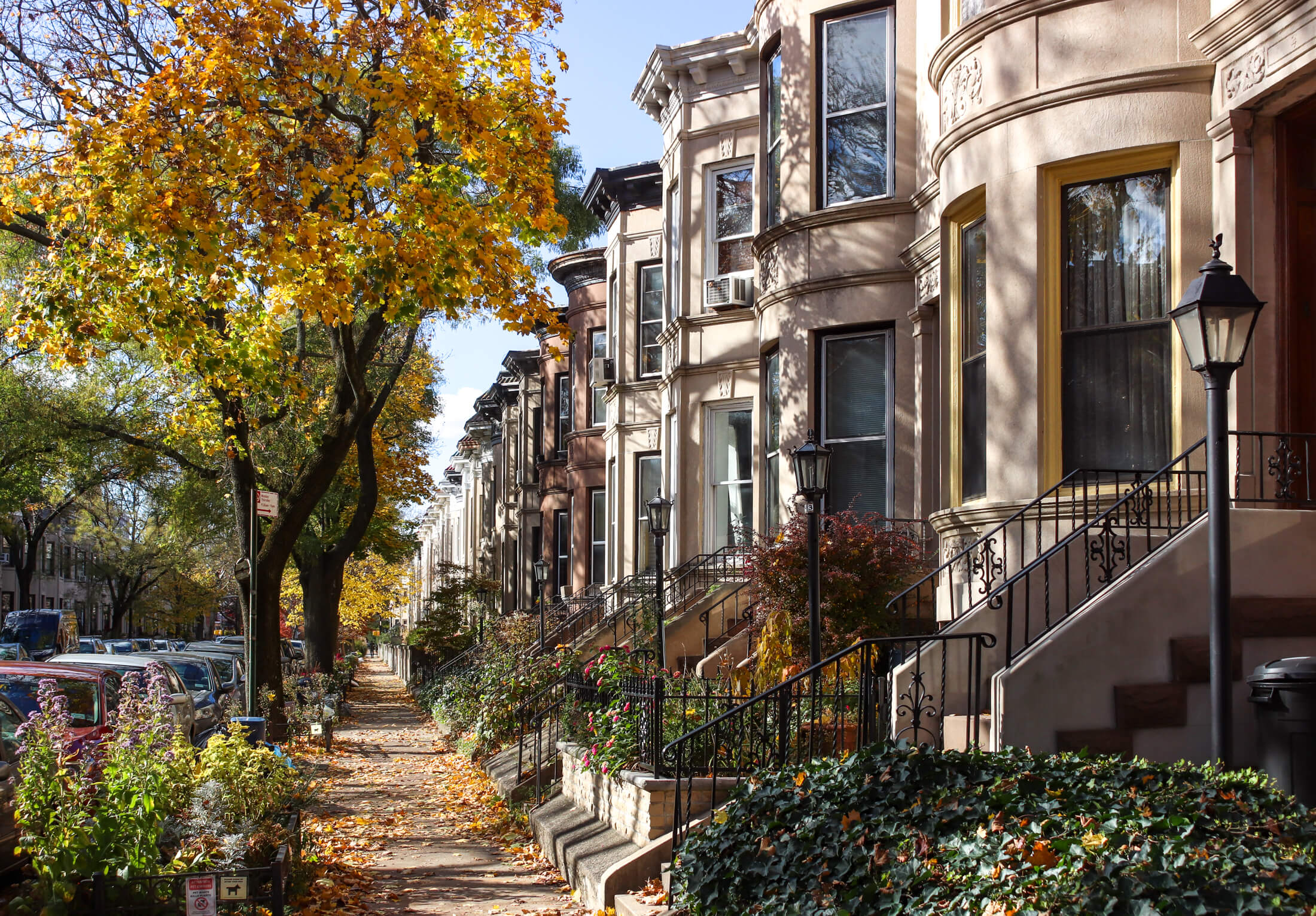 fall scene in prospect lefferts gardens