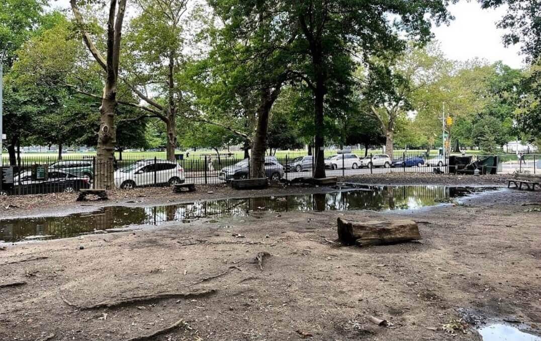 standing water in the park