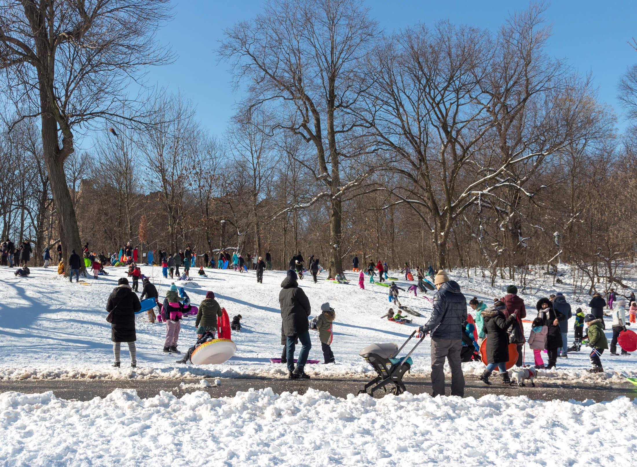 families sledding in Prospect Park
