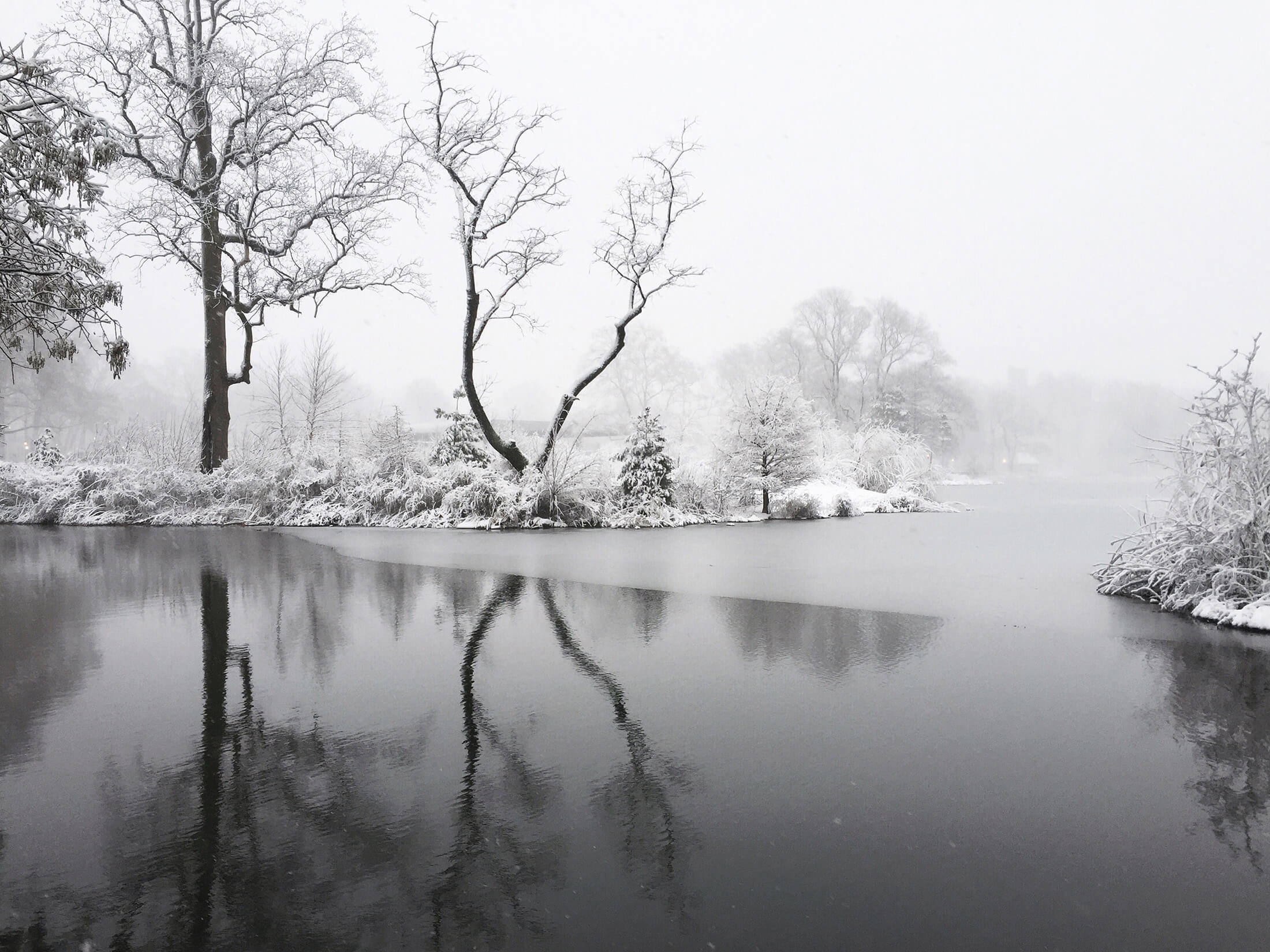 winter view of the lake at prospect park
