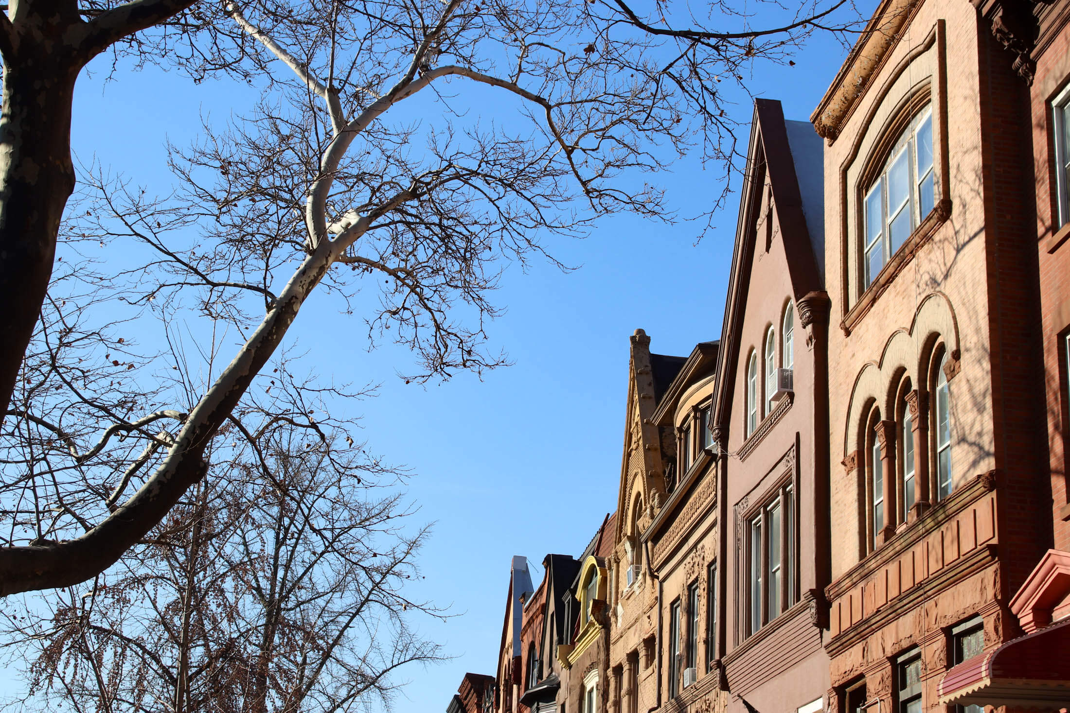 bed stuy street scene