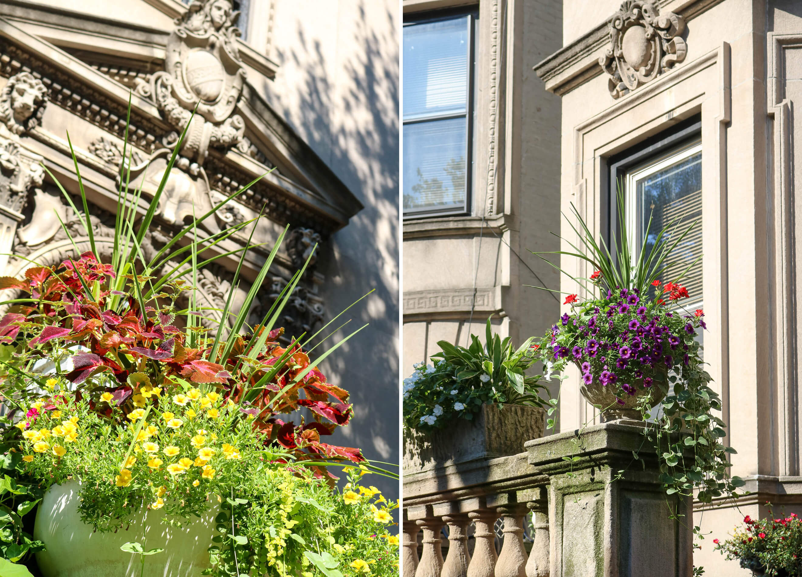 planters on stuyvesant street