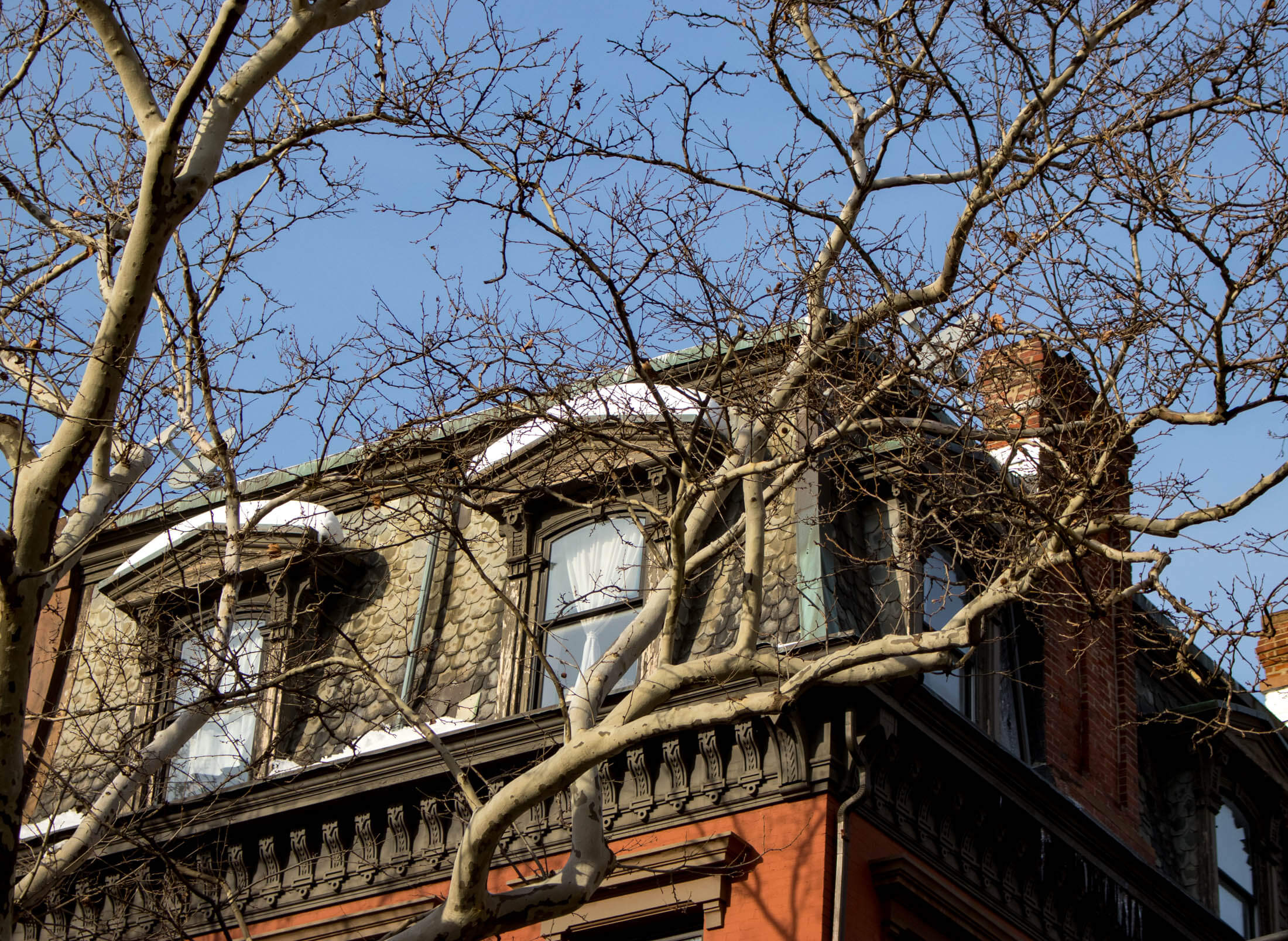 snow on roof