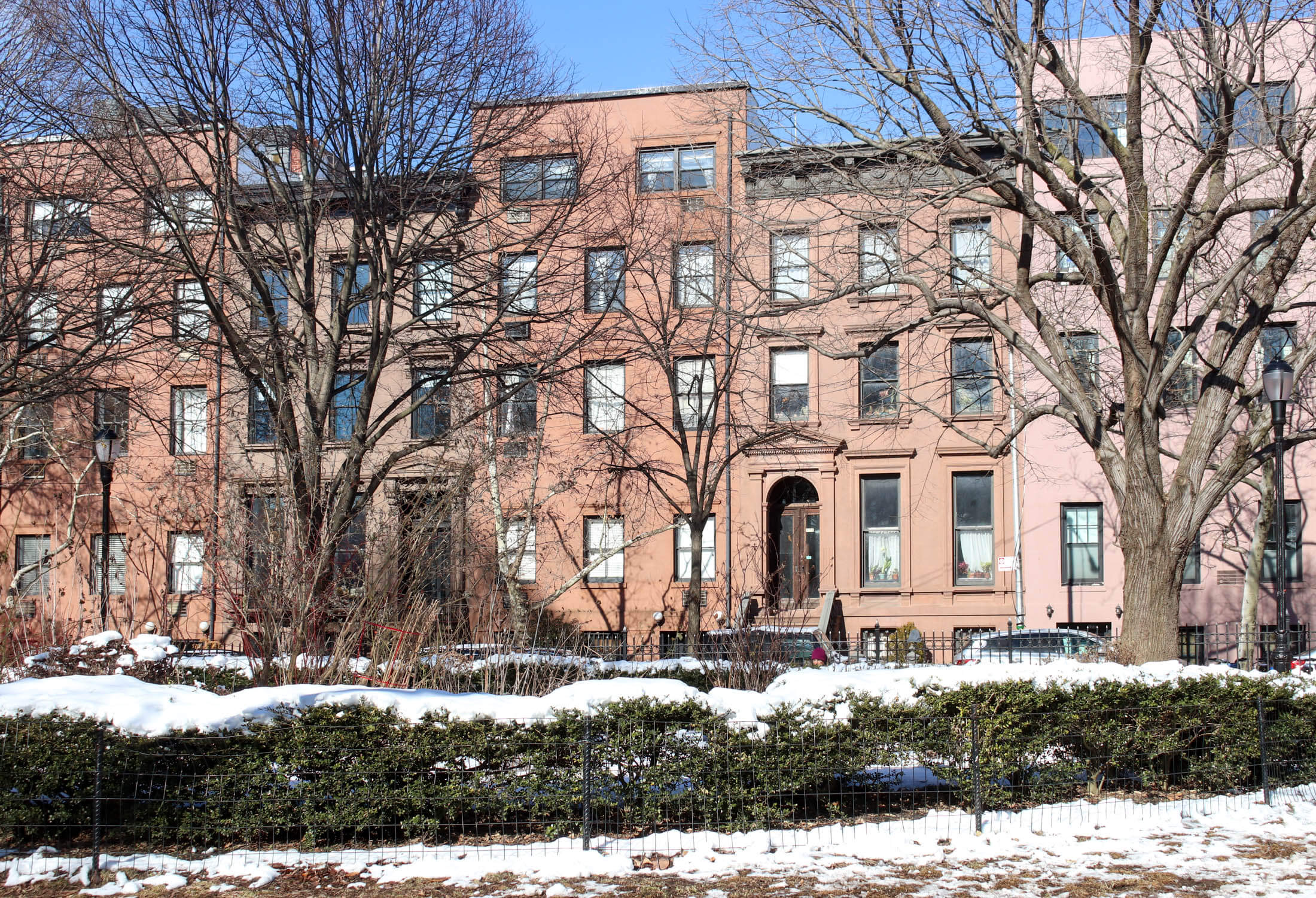 snow in cobble hill park