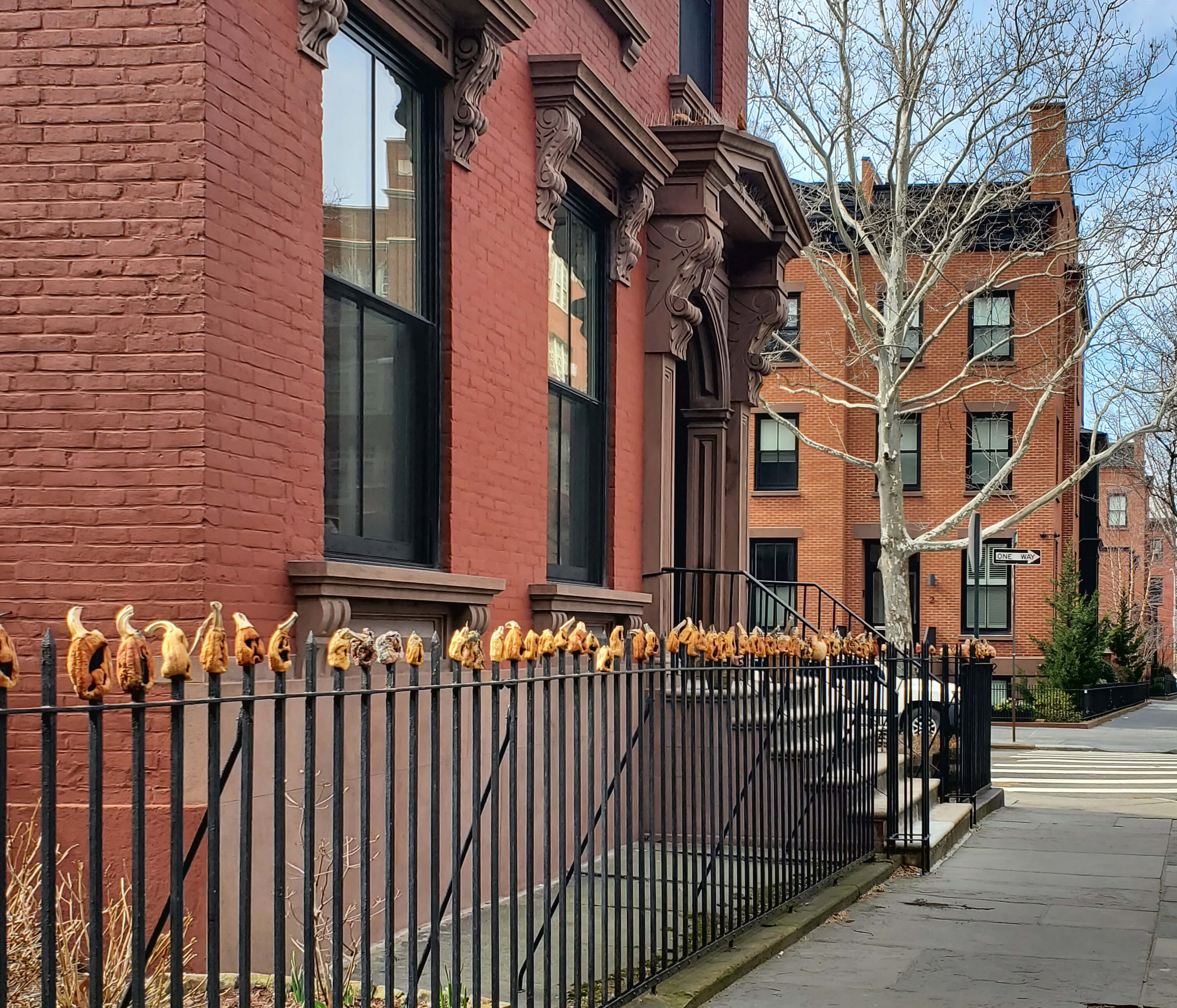 pumpkin fence in cobble hill