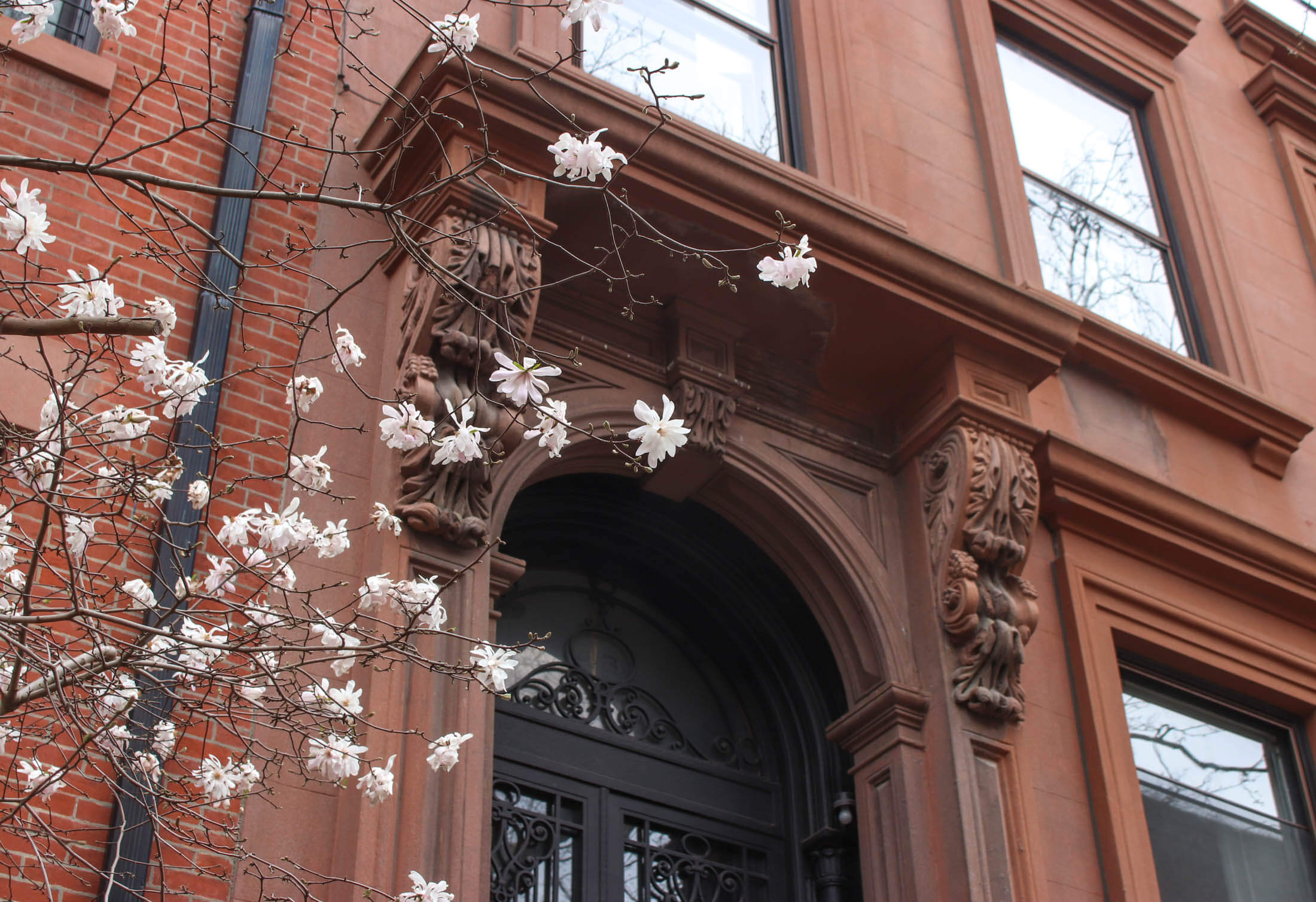 brooklyn heights stoop