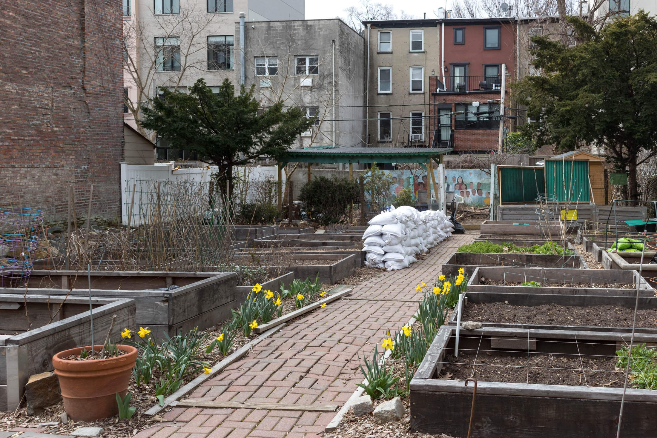 community garden