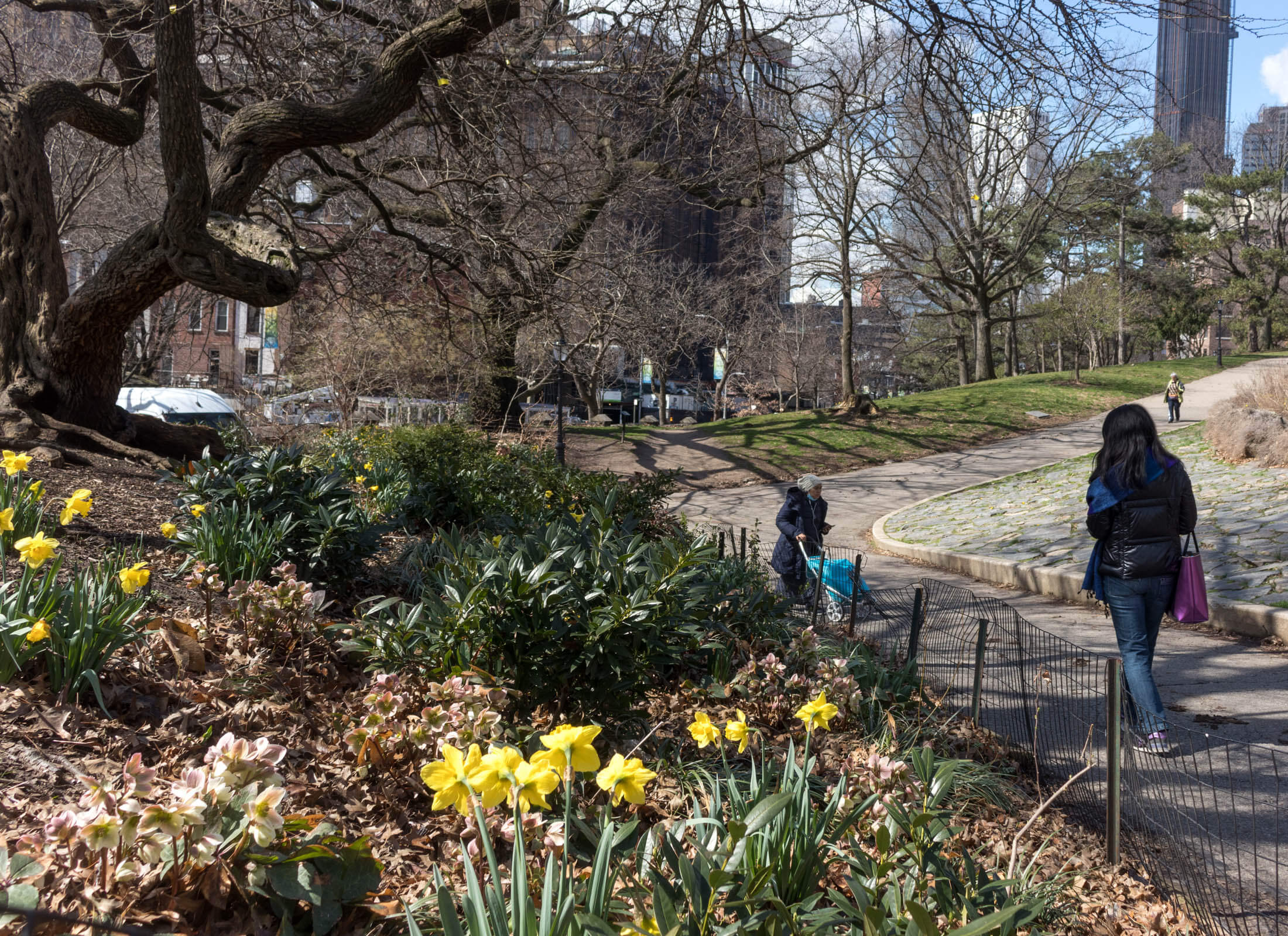 fort greene park in the spring