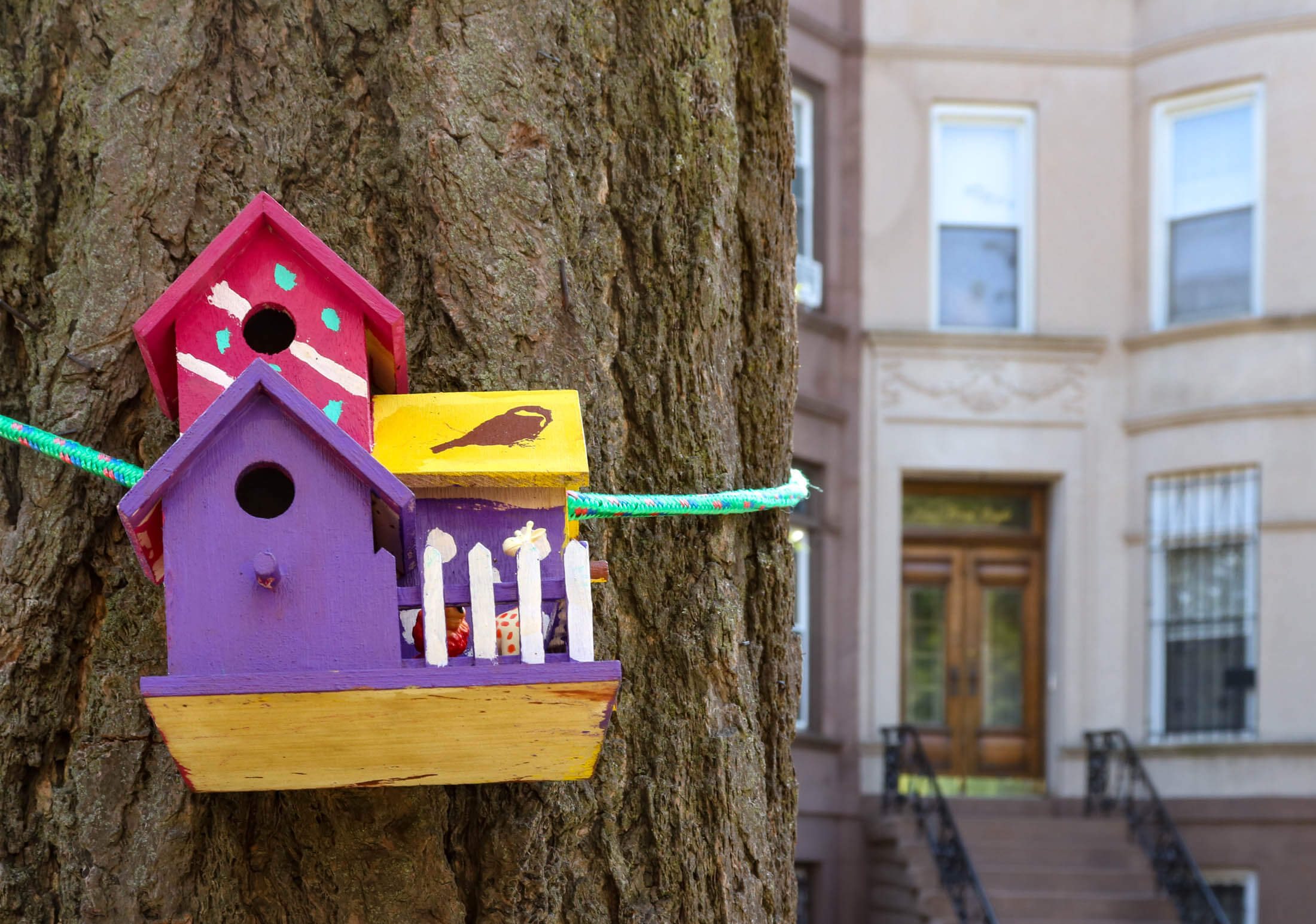 bird house