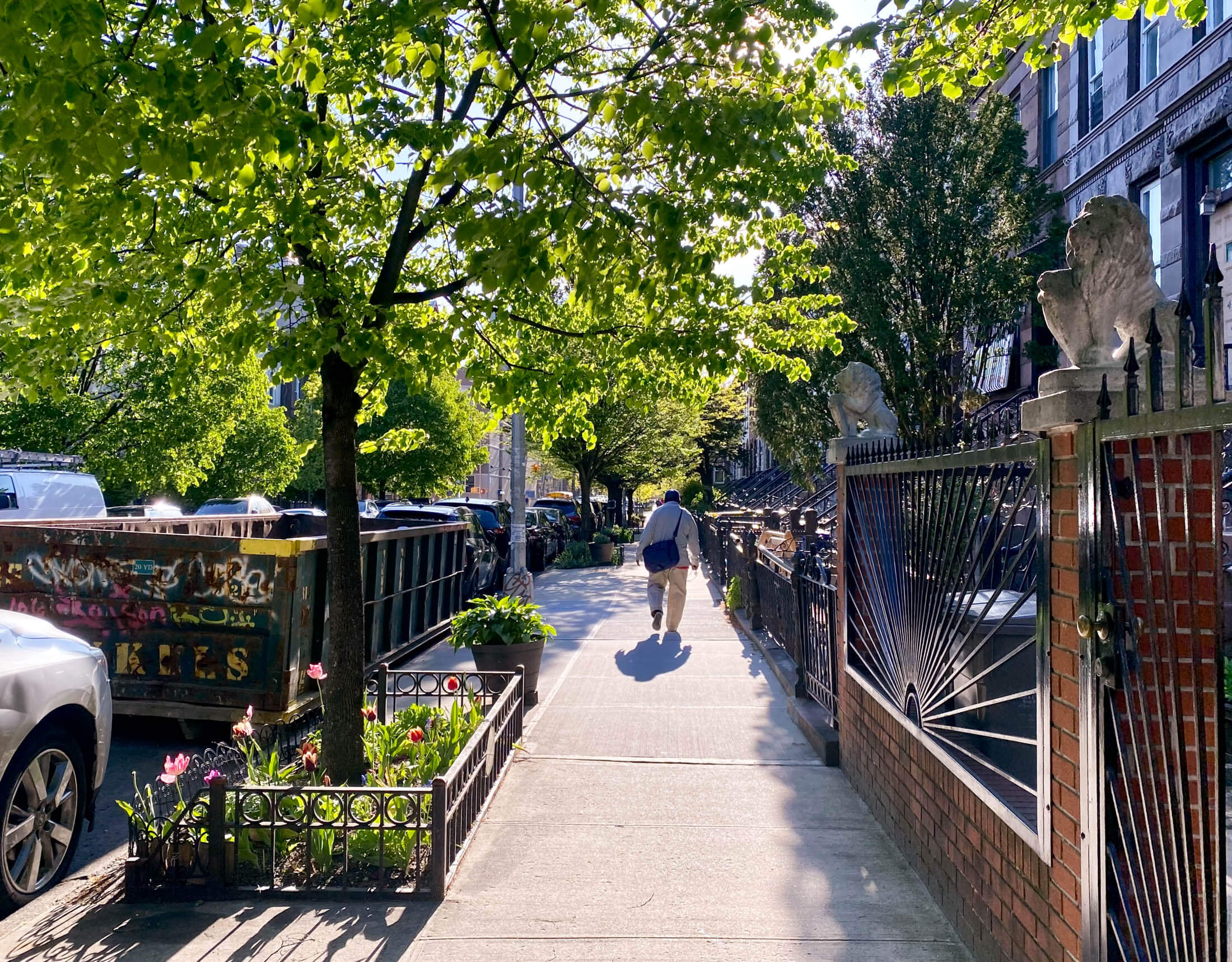 bed stuy street scene