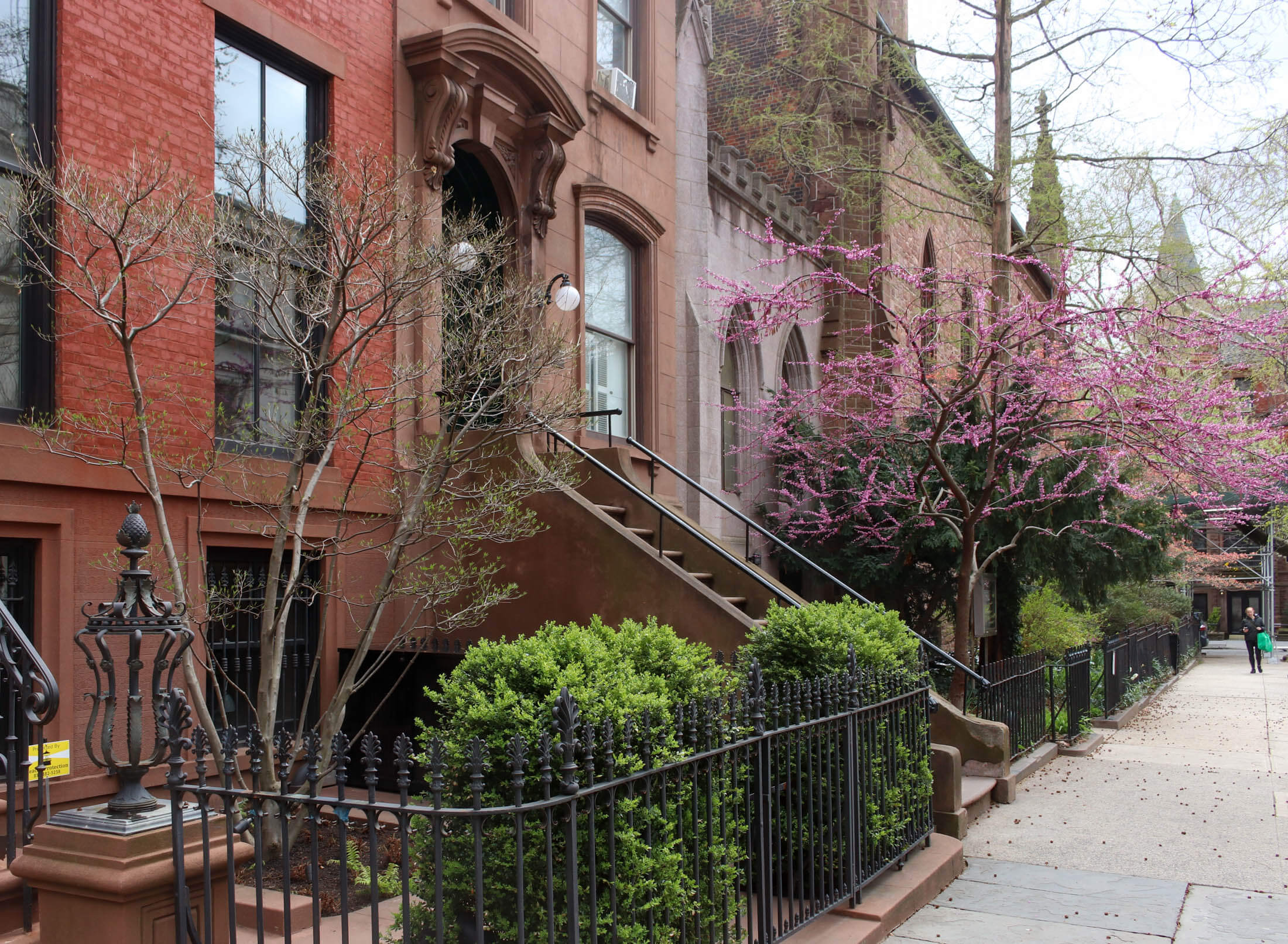 spring trees and buildings on monroe place