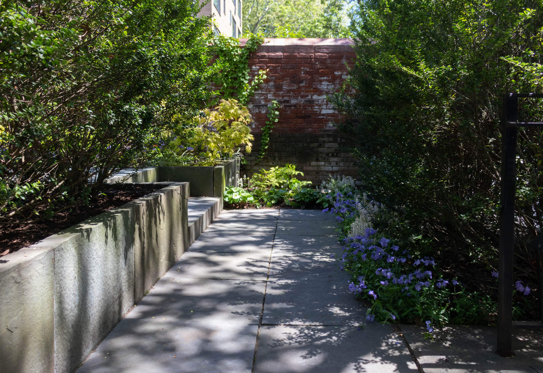 the entry from the rear gate