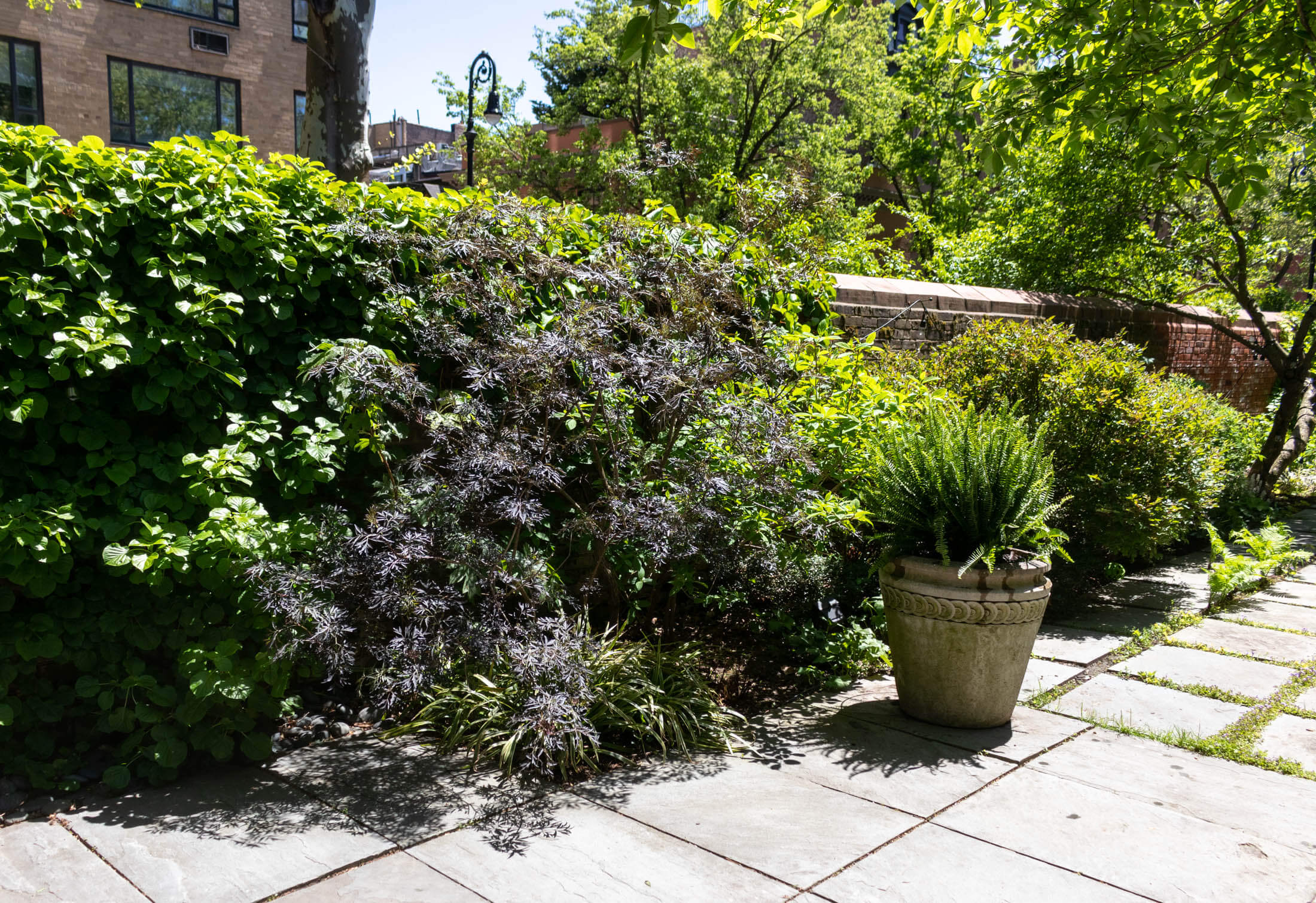 wall around garden