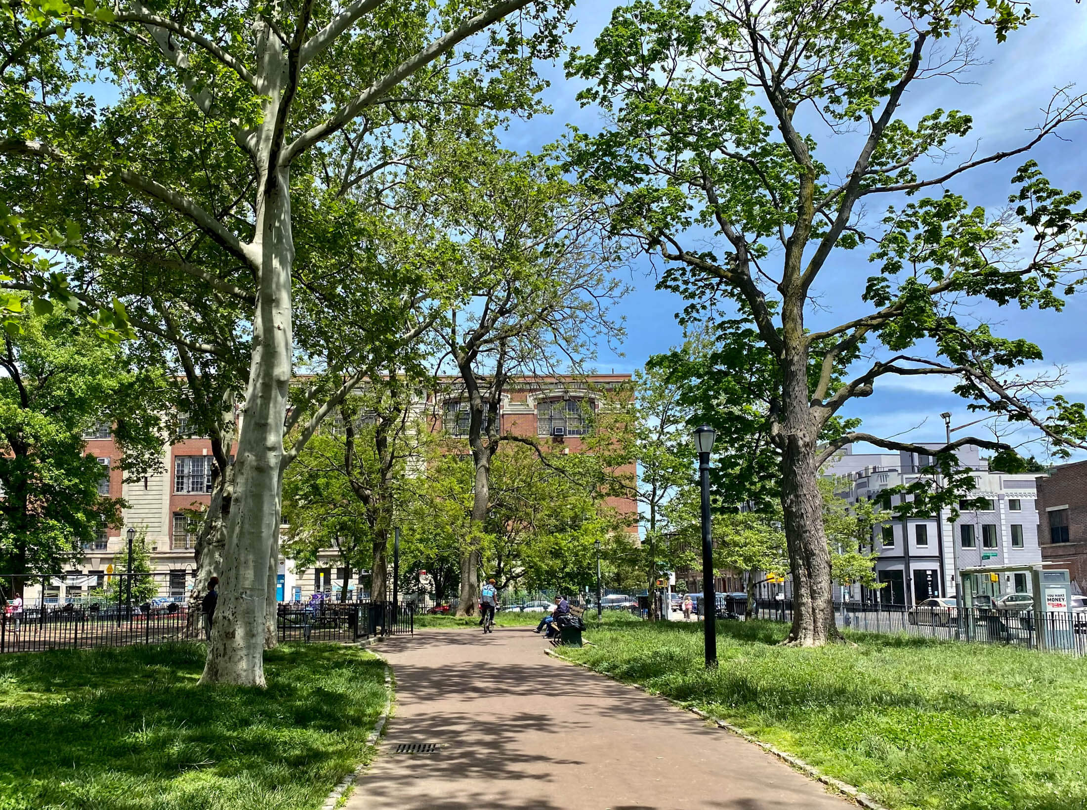 people in the park