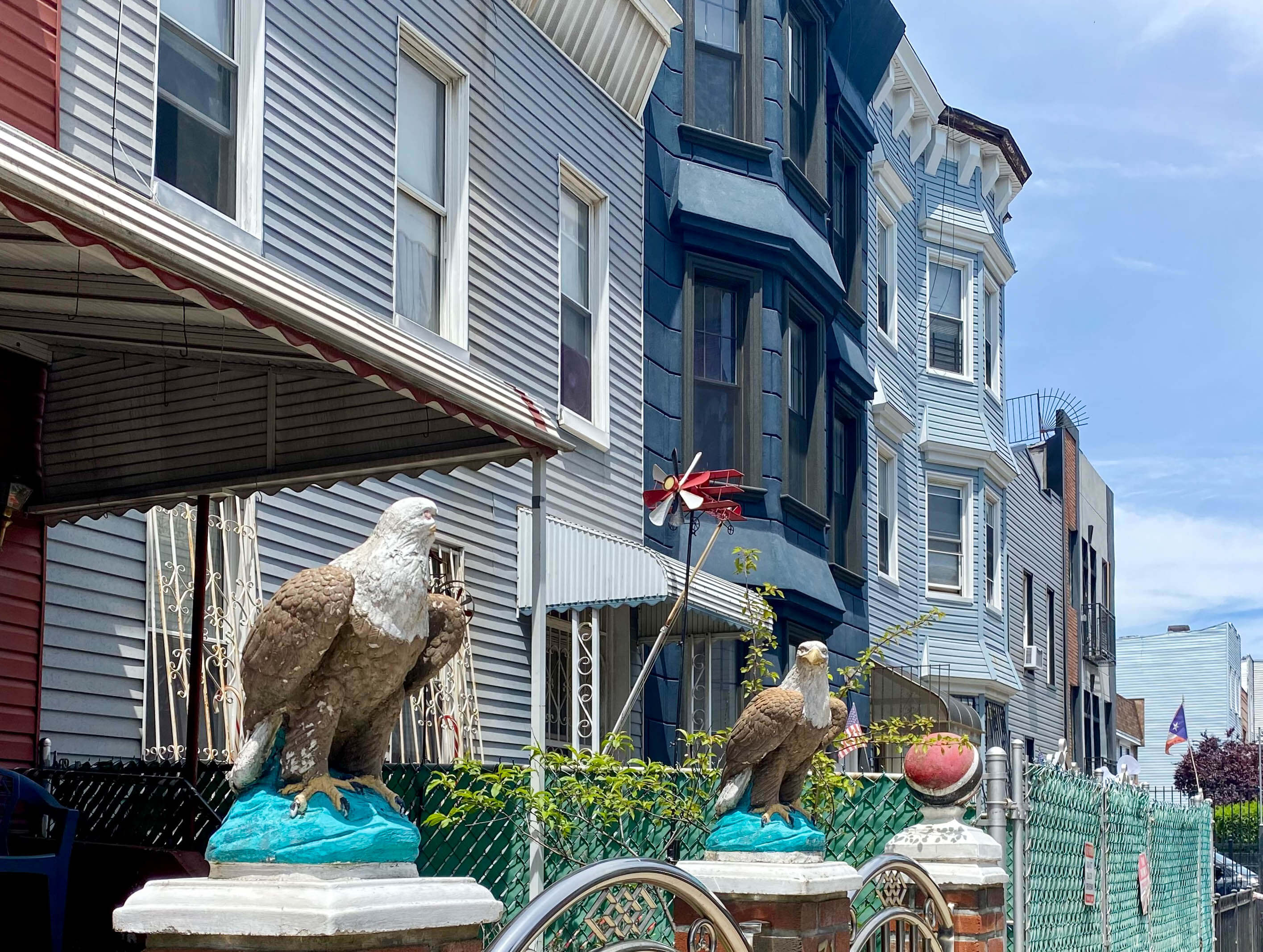 eagles on a stoop in bushwick