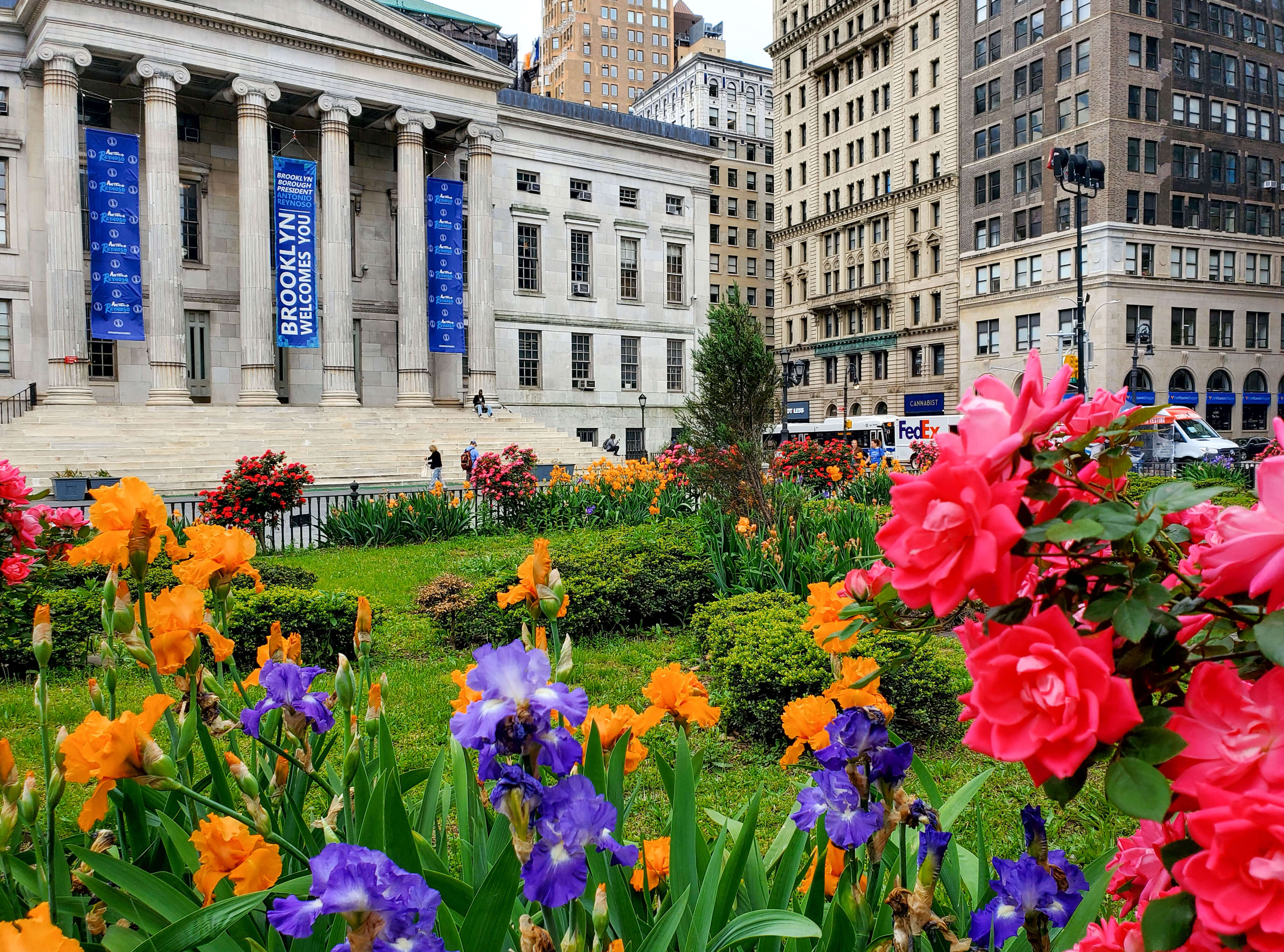 flowers near borough hall