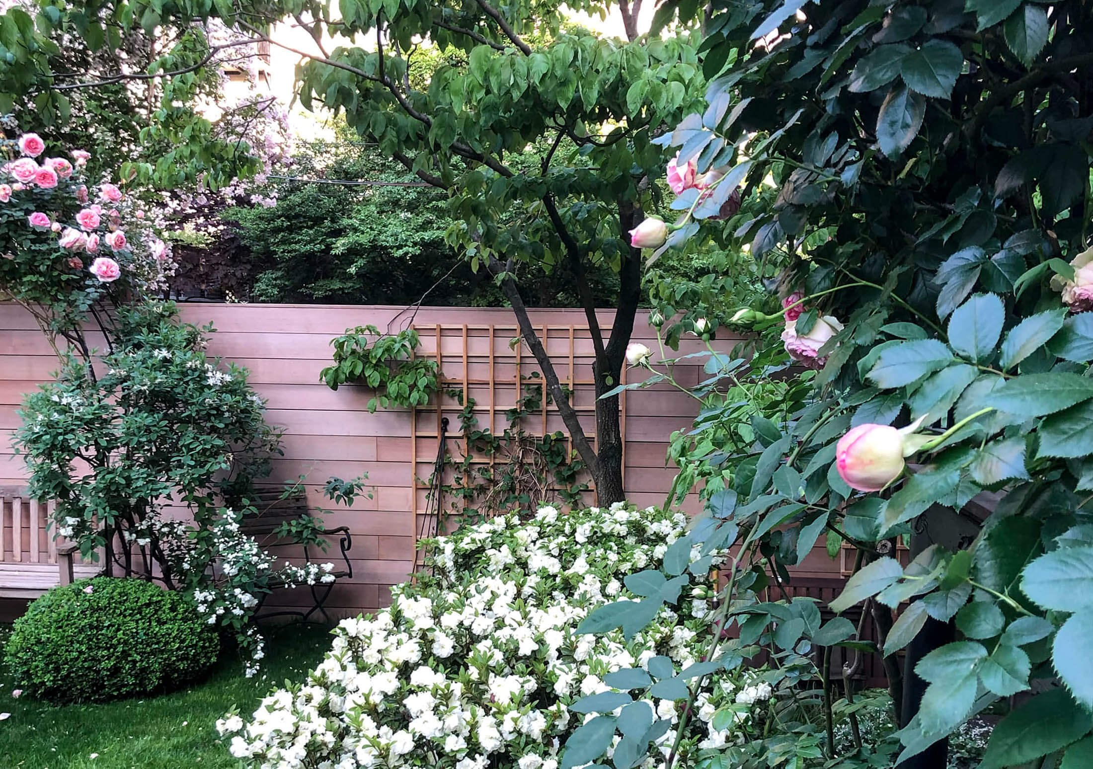 garden fence and trellis