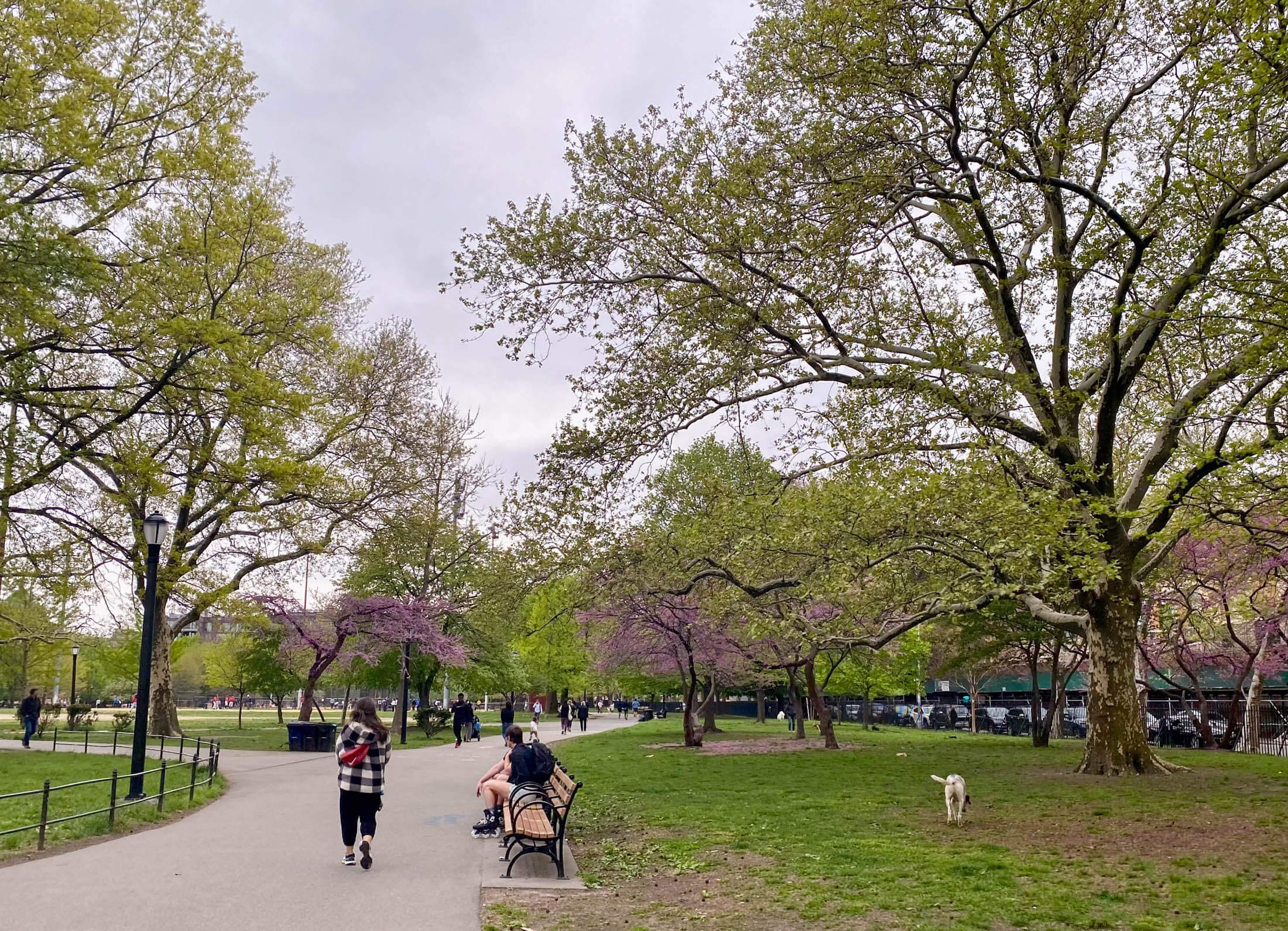 people in park