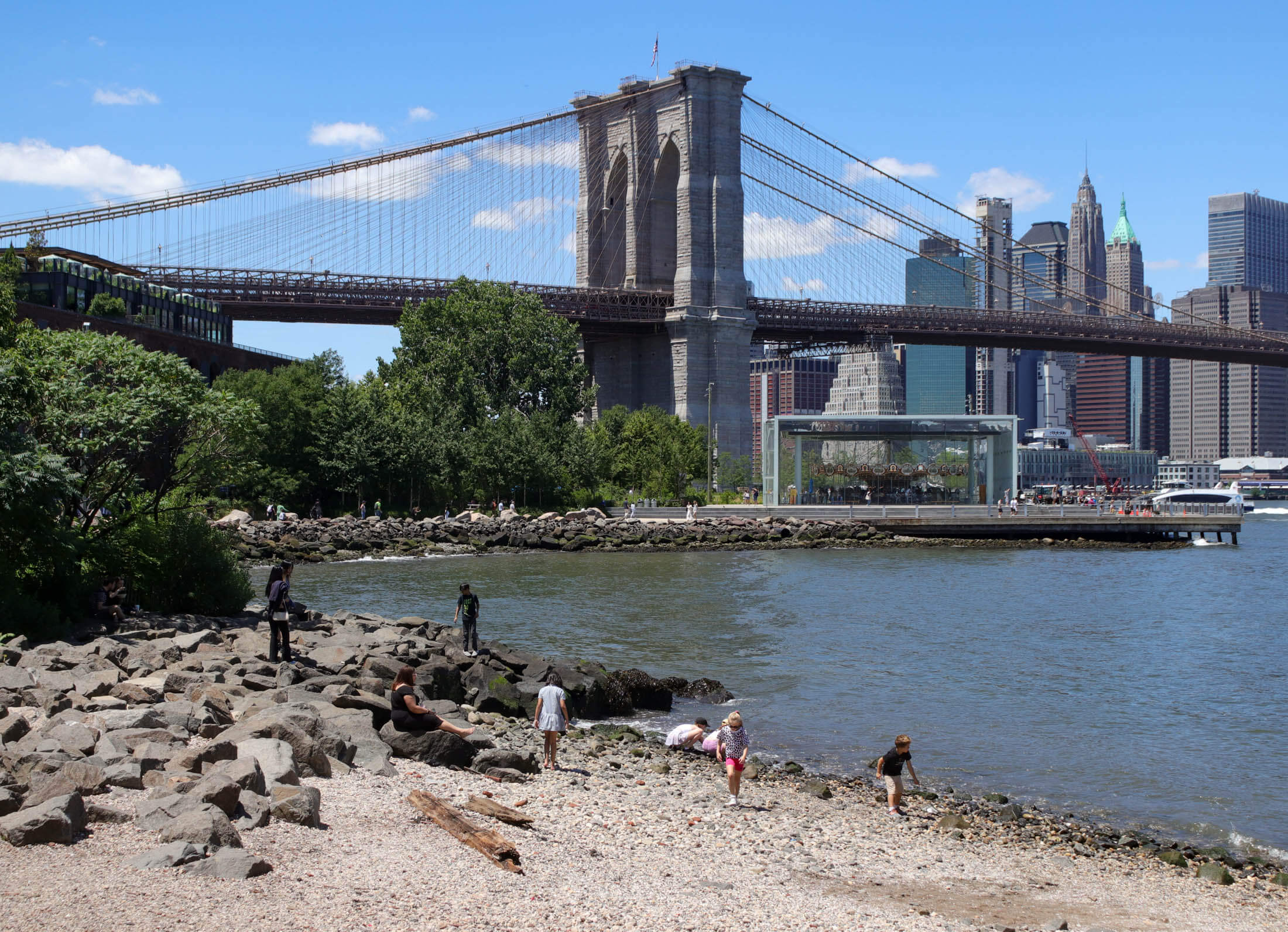 brooklyn bridge and janes carousel