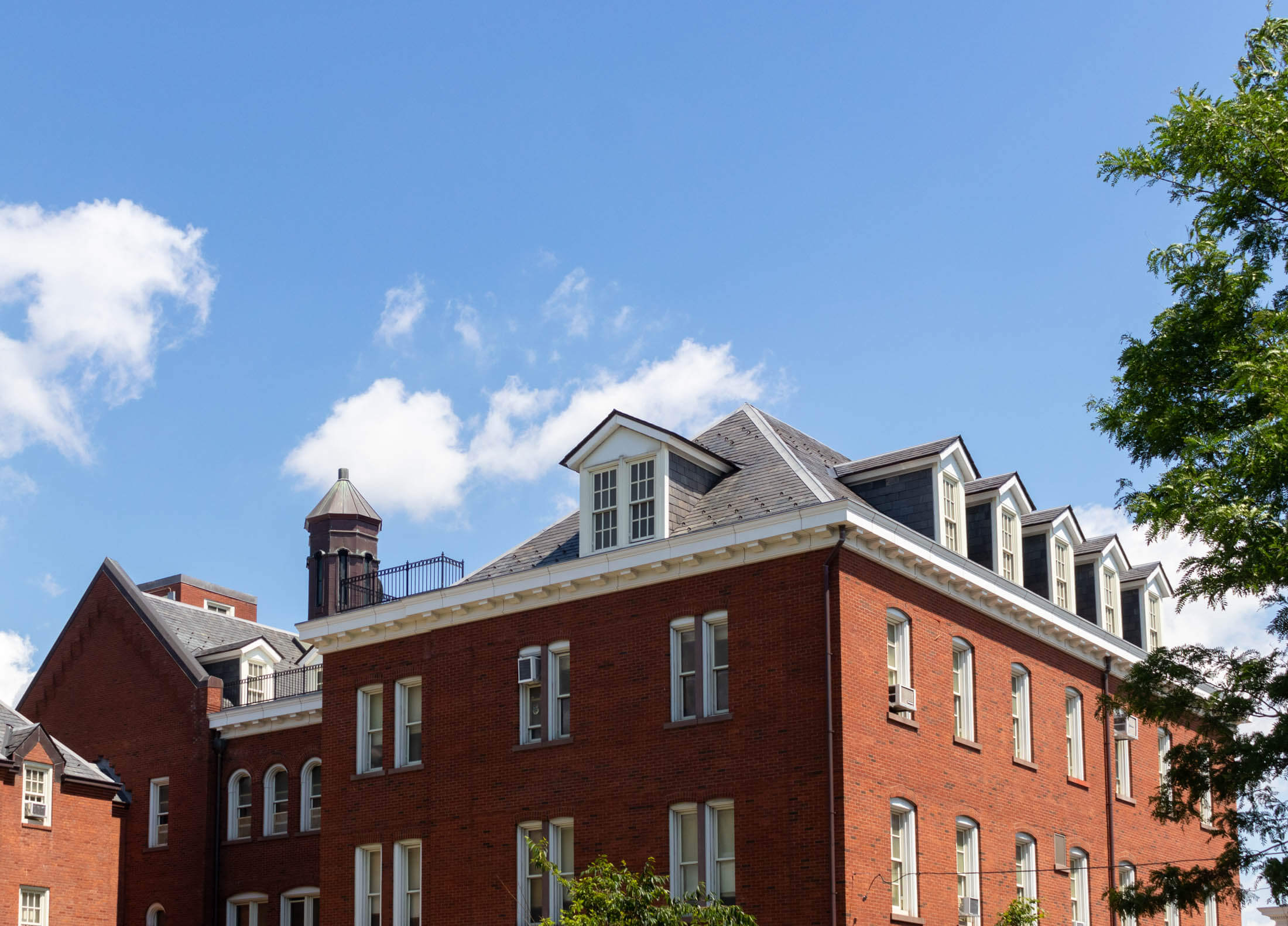 bushwick roofline