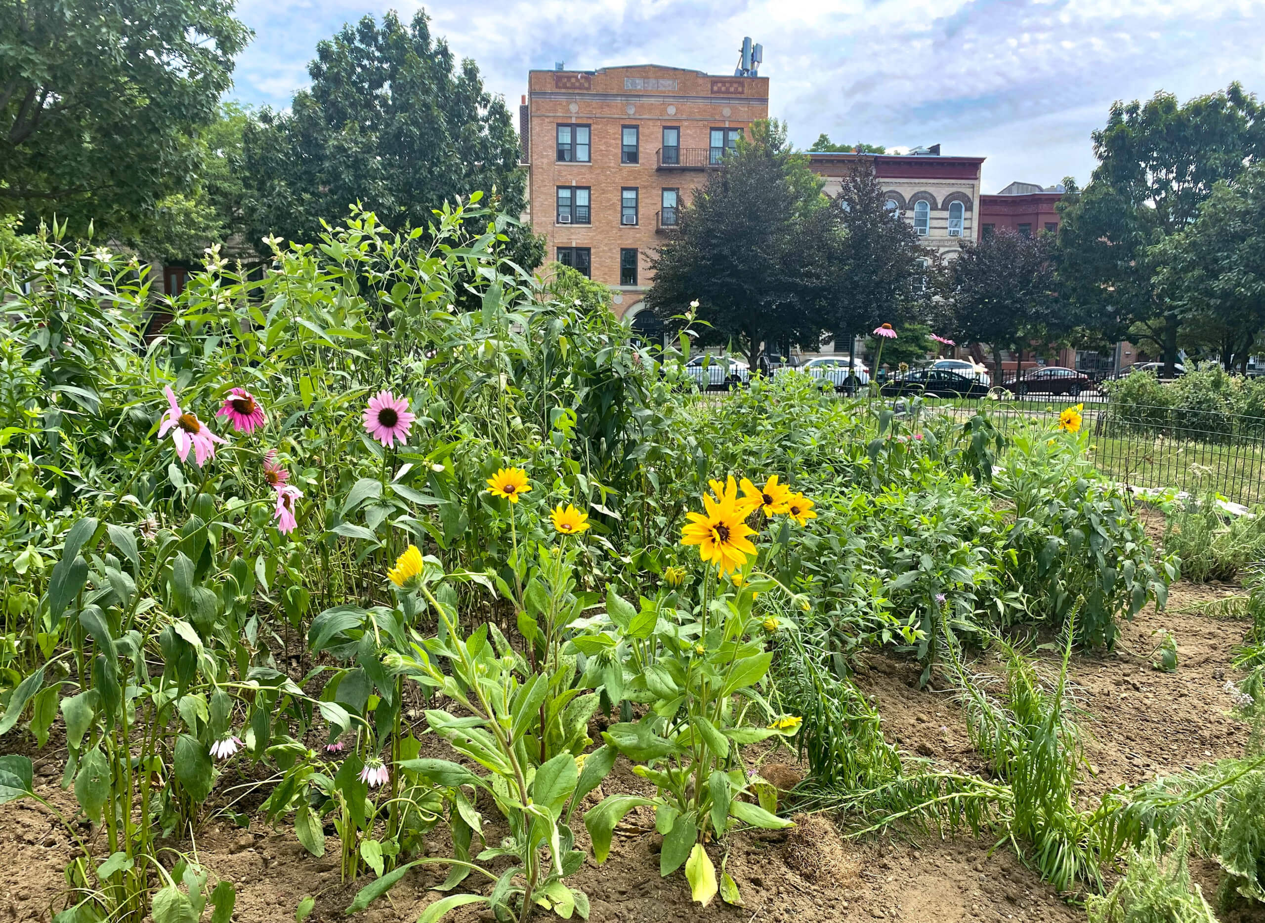 flowers in bushwick